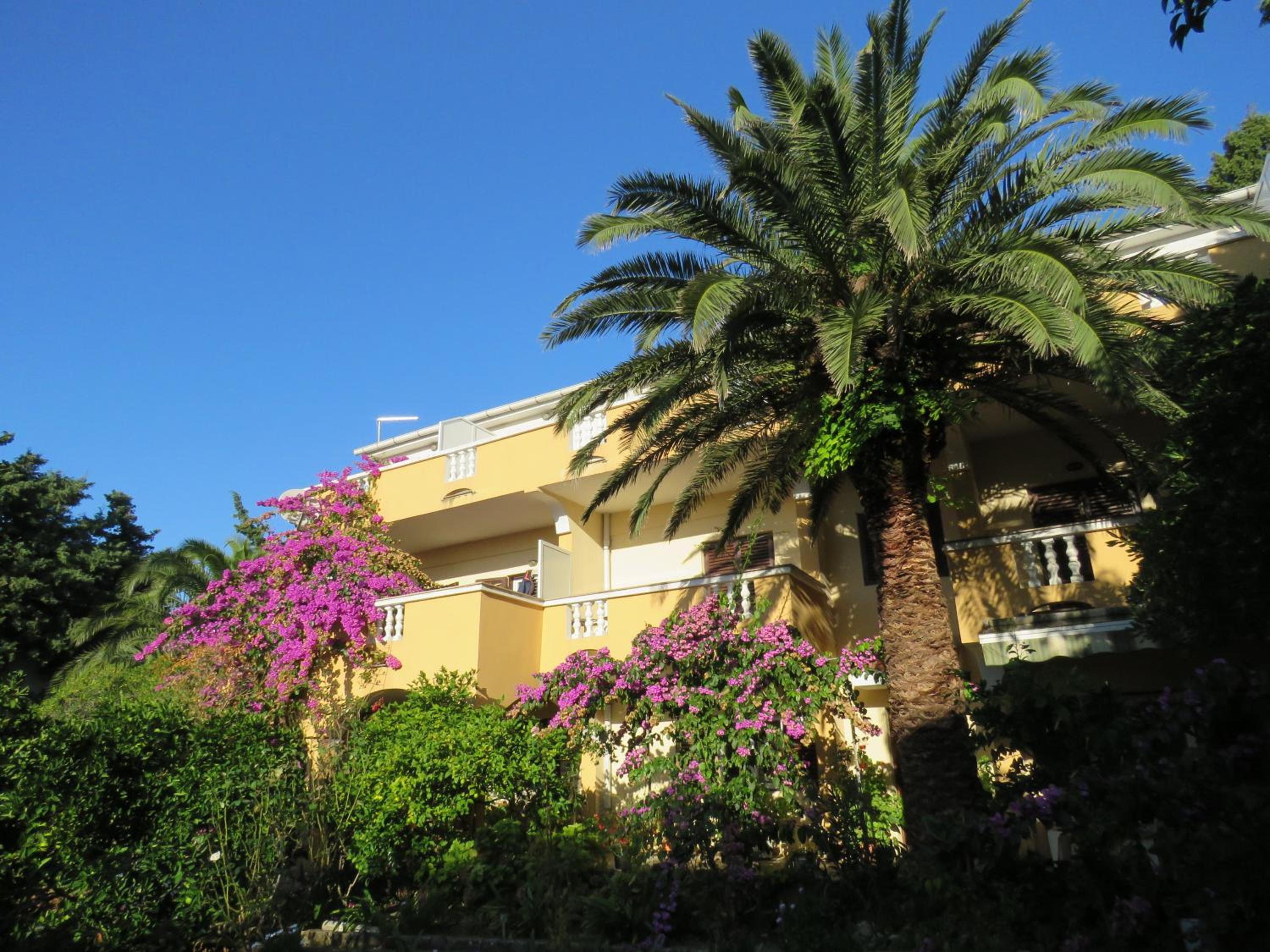 Apartments Palma Novalja view 5