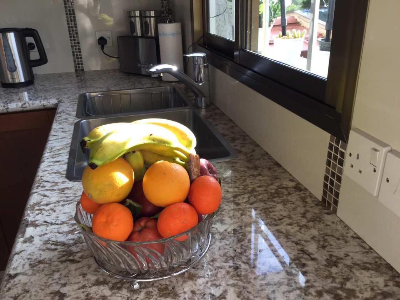 Nikola's House