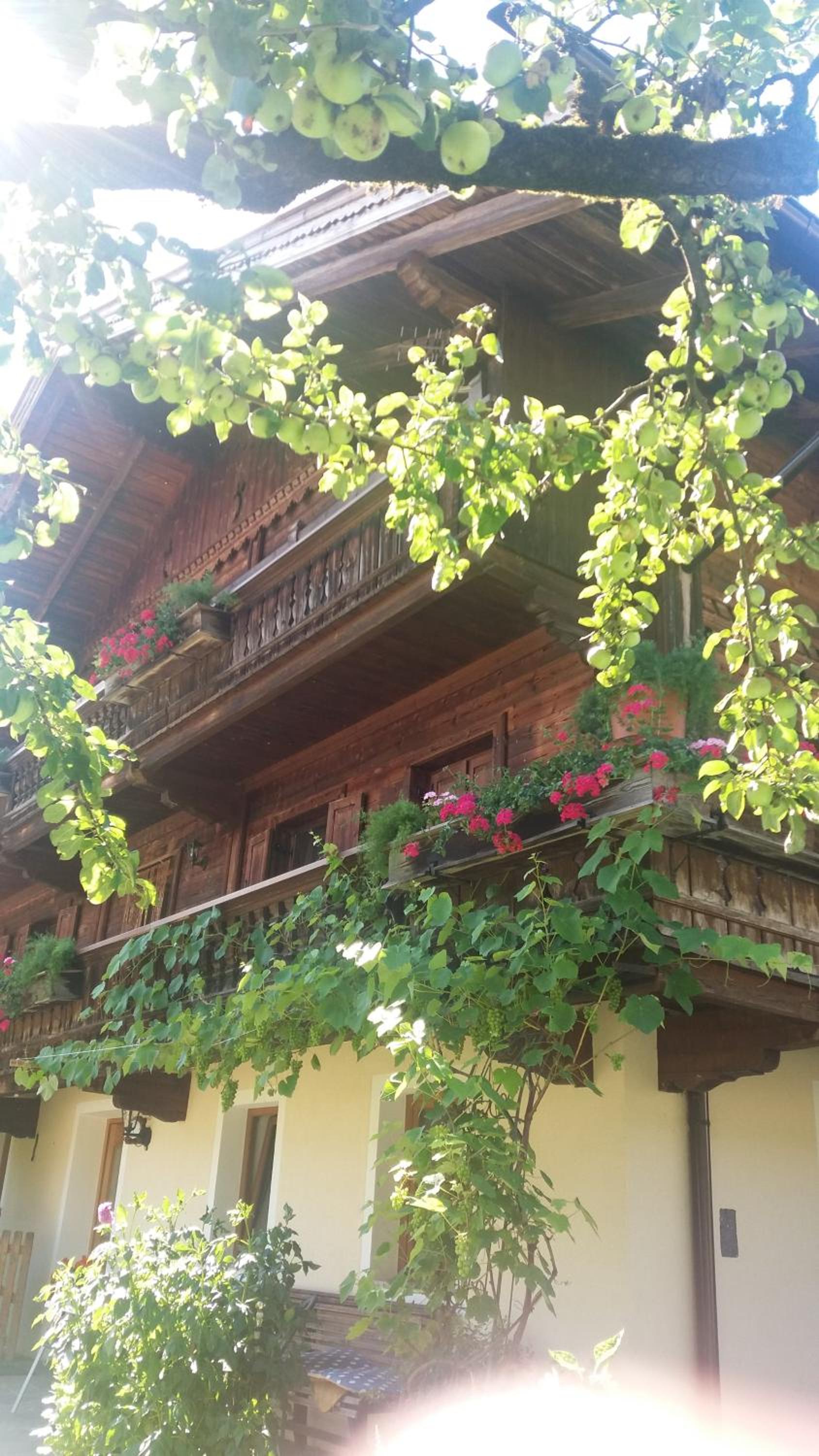 Bohrerhof