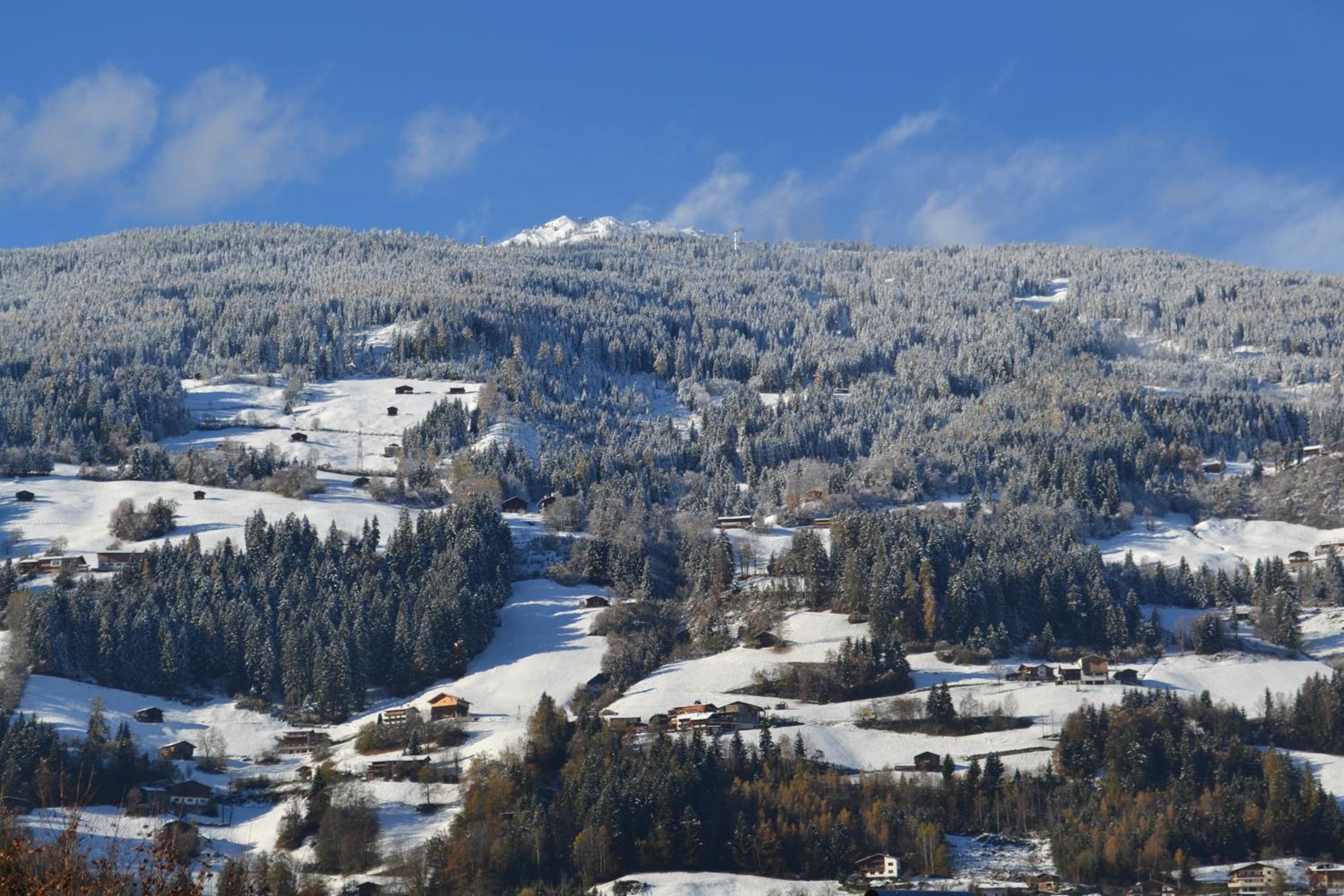 Bohrerhof