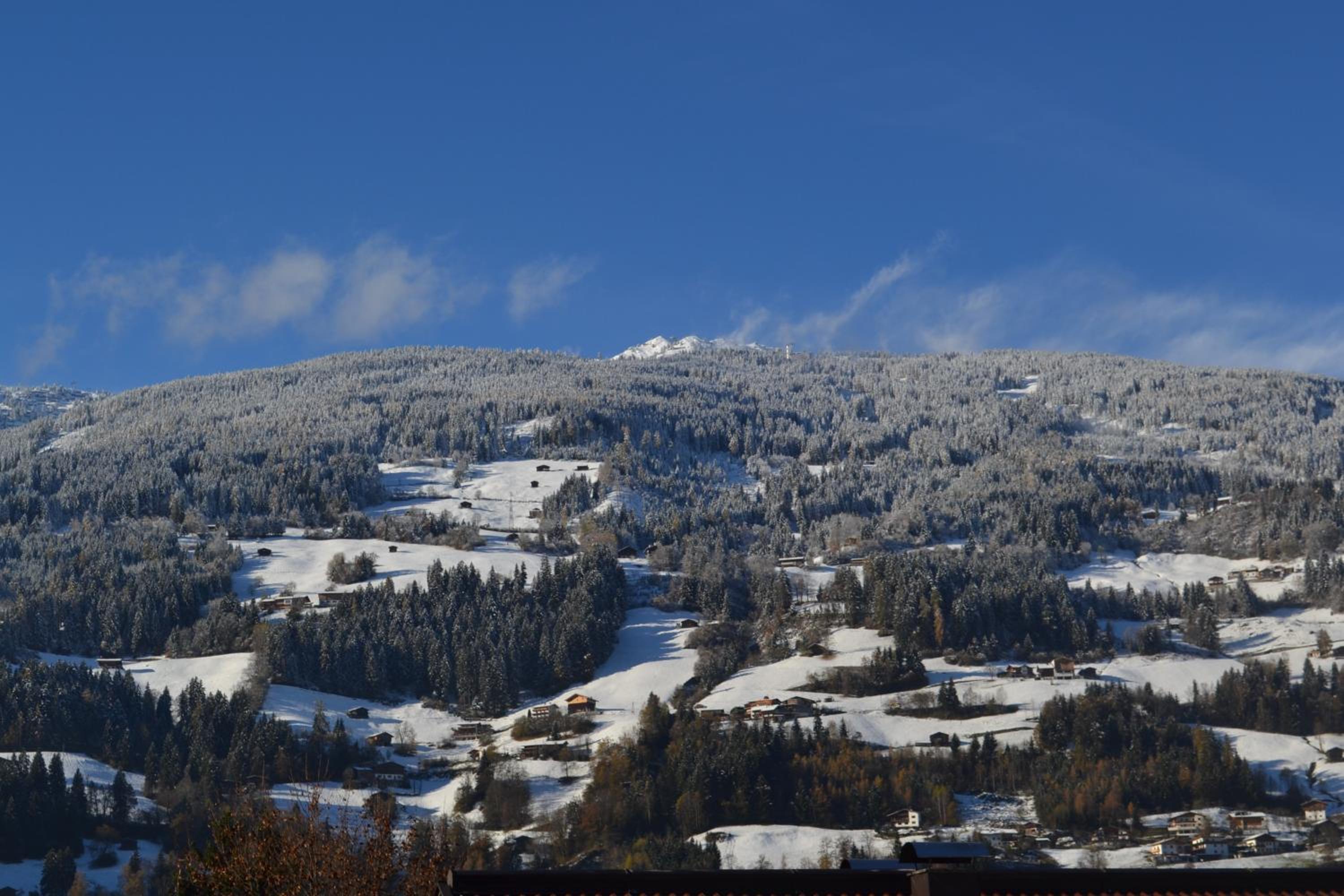 Bohrerhof