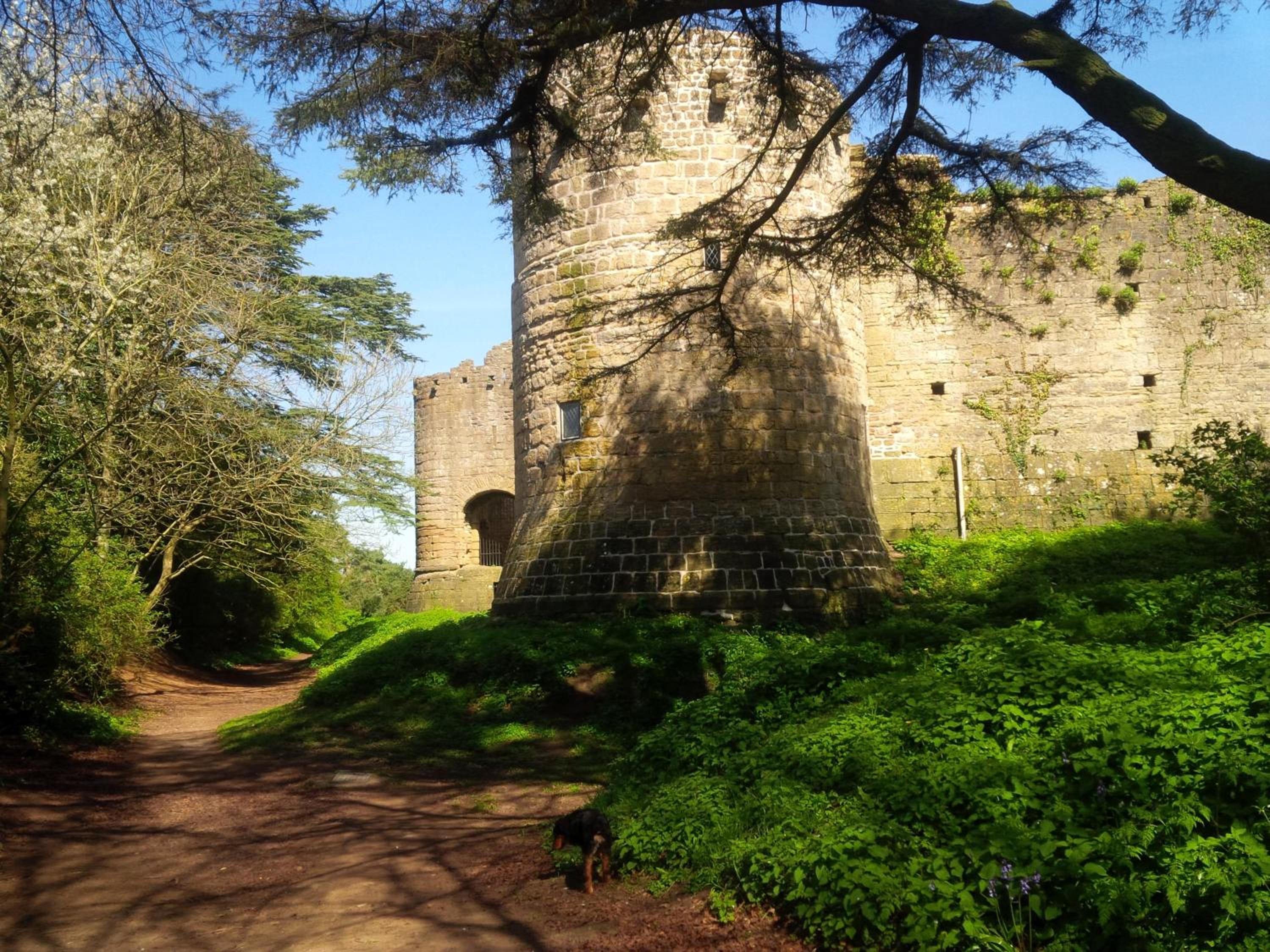 The Lychgate, photo 44
