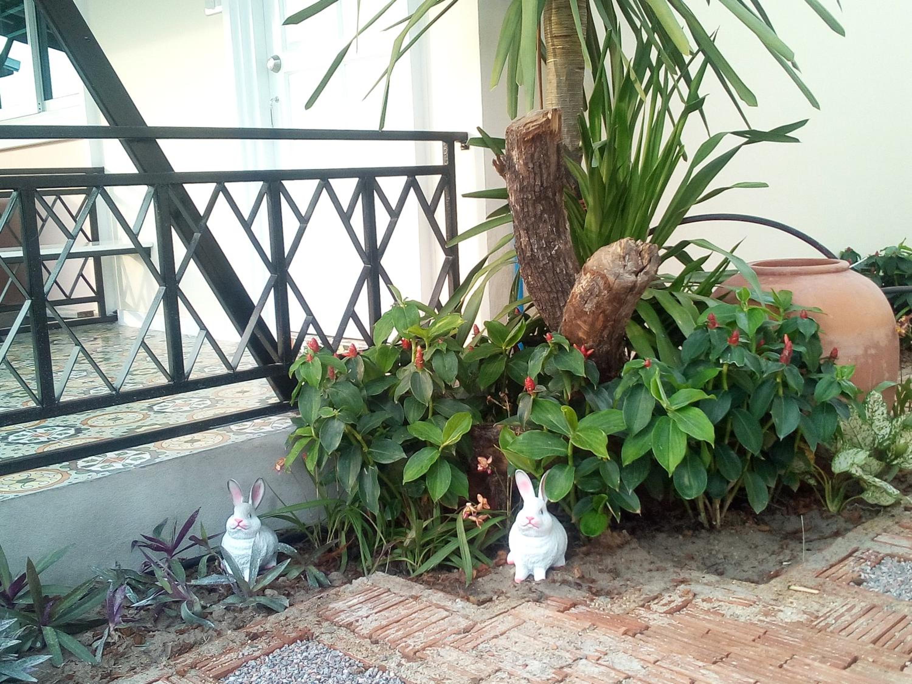 Photo 119