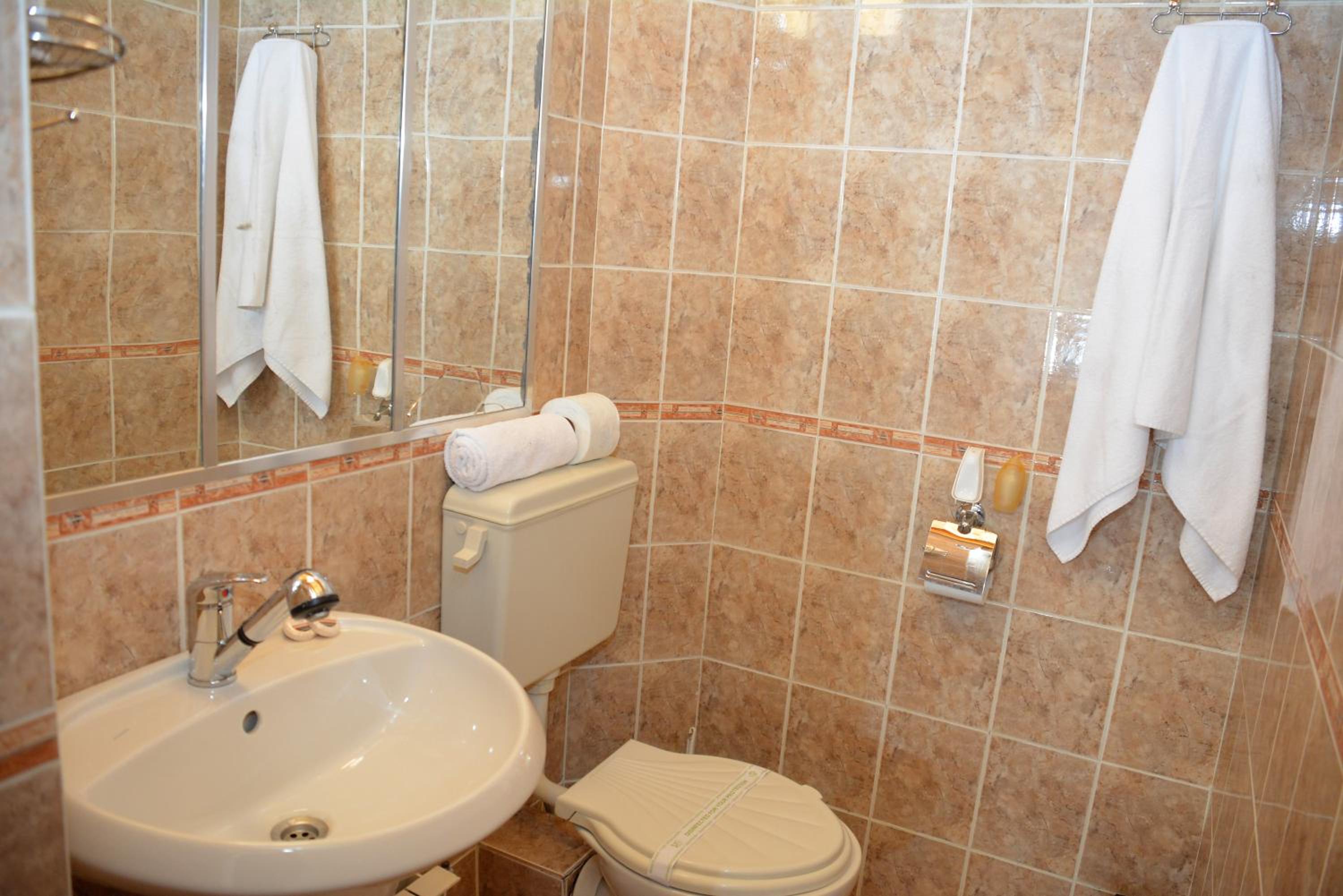 Bansko Vacations - Trenchova Guest House - Property Image 14