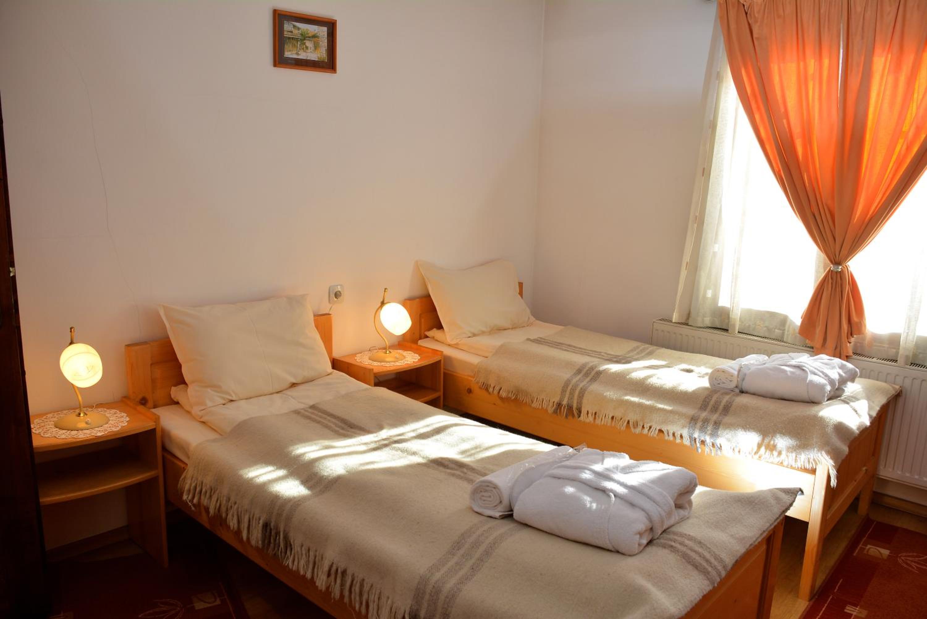 Bansko Vacations - Trenchova Guest House - Property Image 24