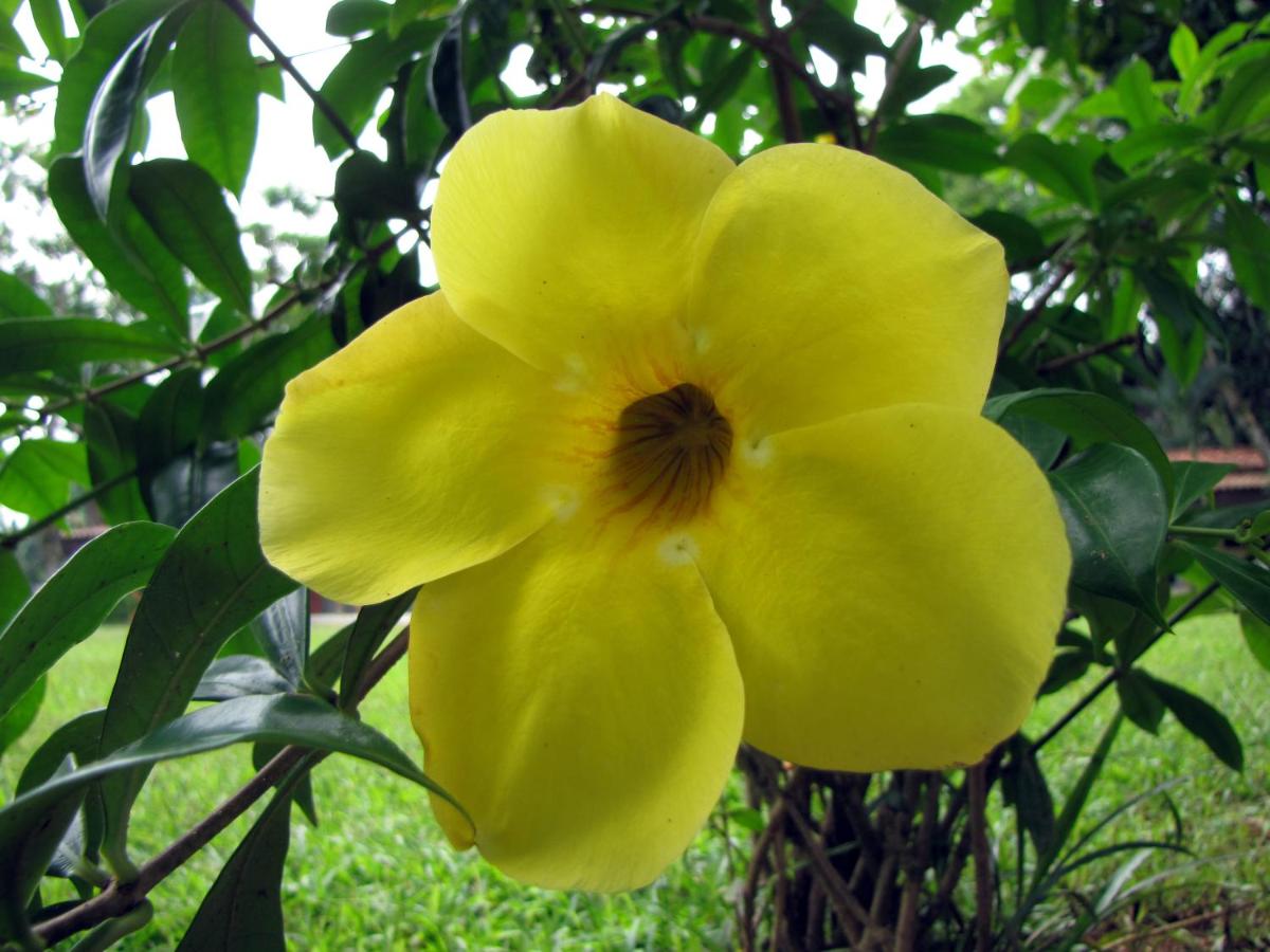 Ilhabela Tênis Clube