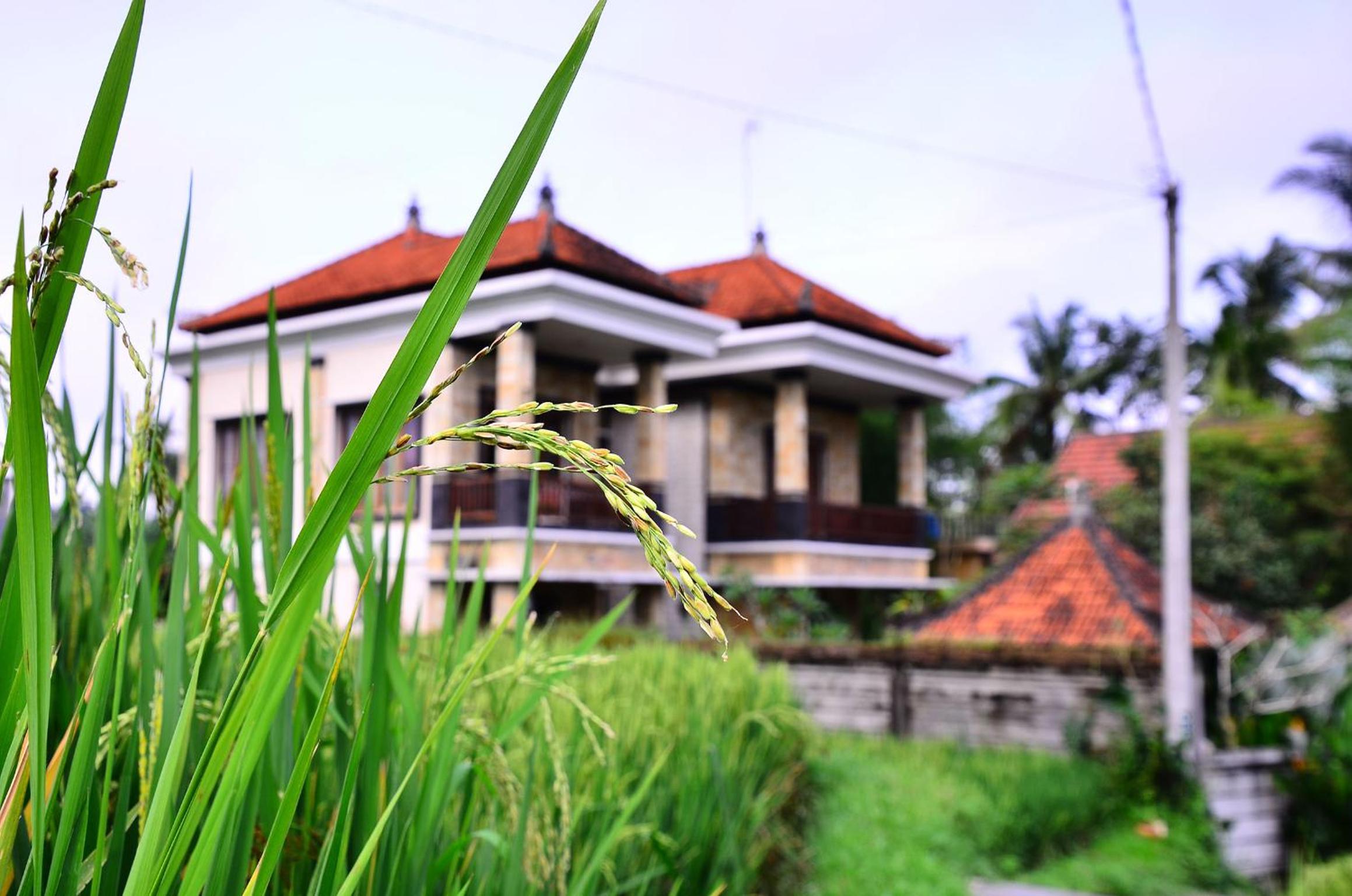 Ubud Sawah Scenery Villa and Homestay