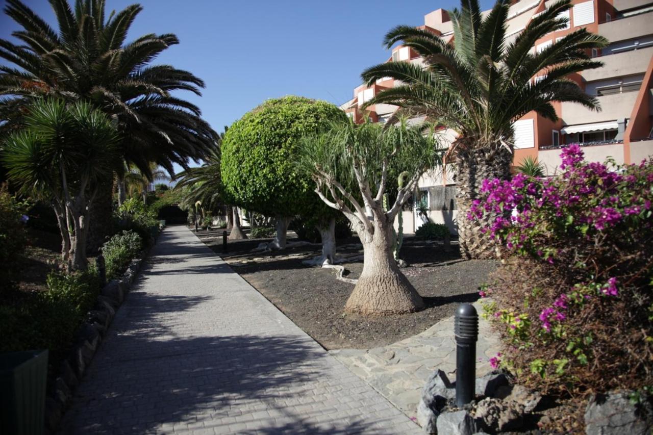 Apartamento el Cano view 2