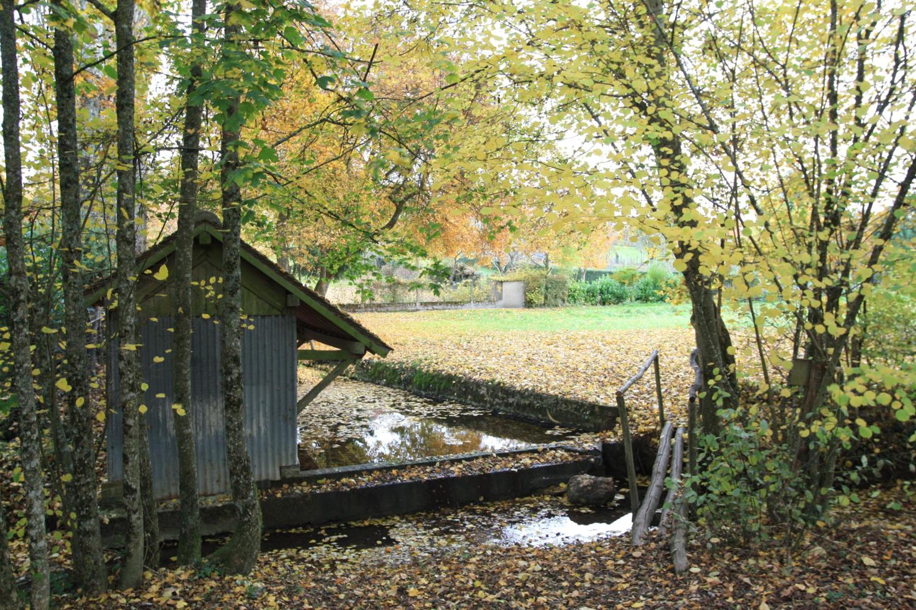 La Maréchalerie