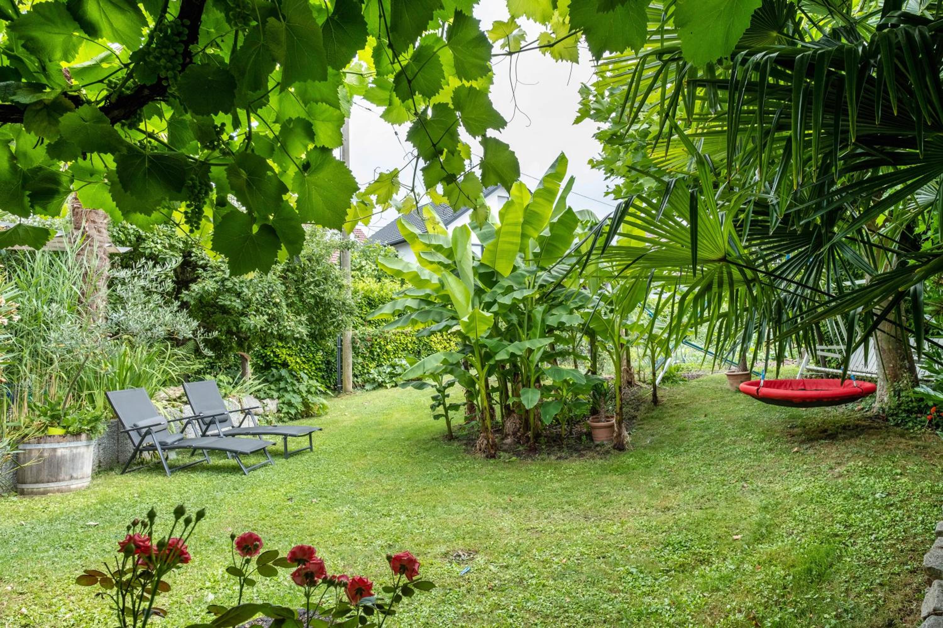 Haus Bienen, photo 27