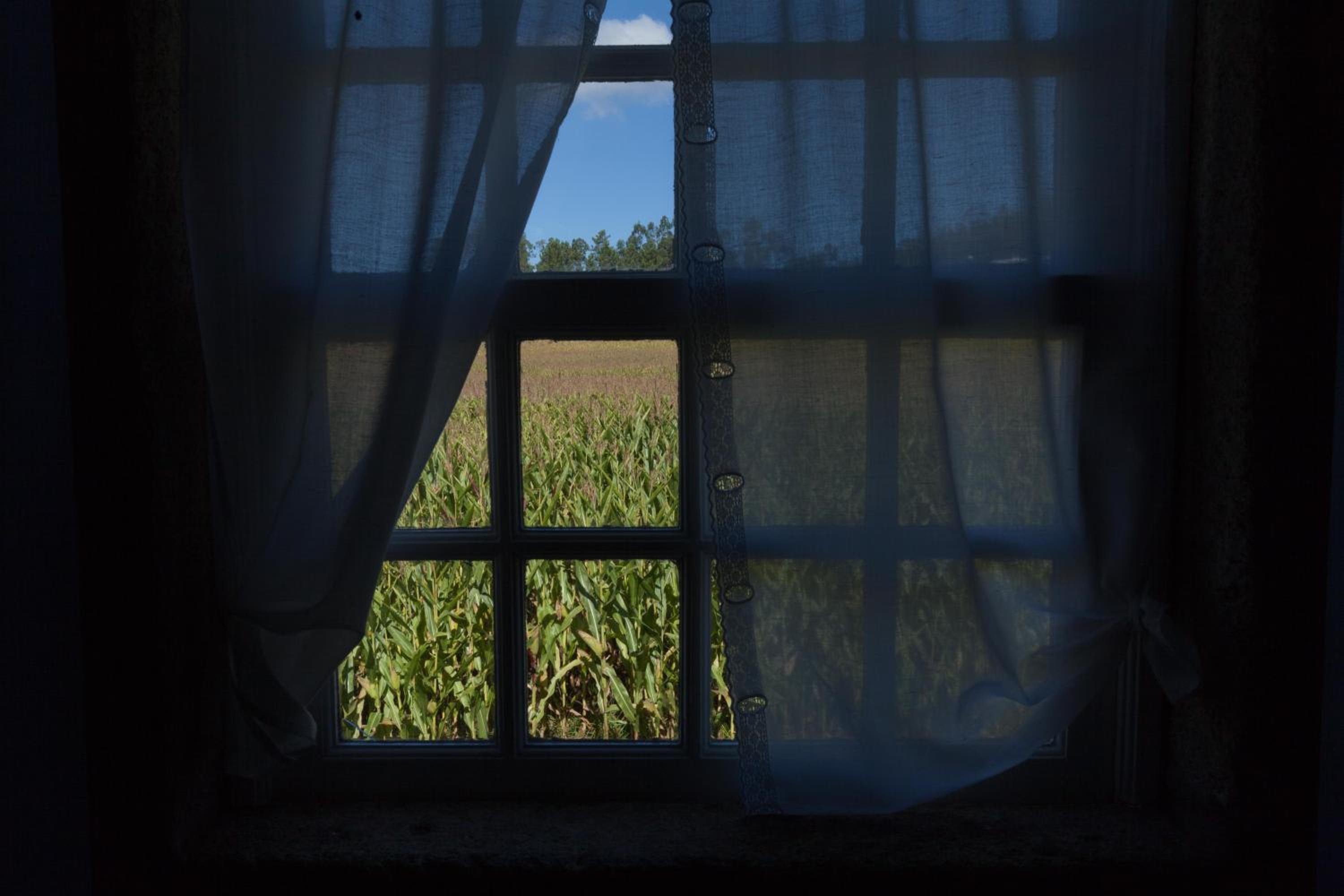 Photo 40