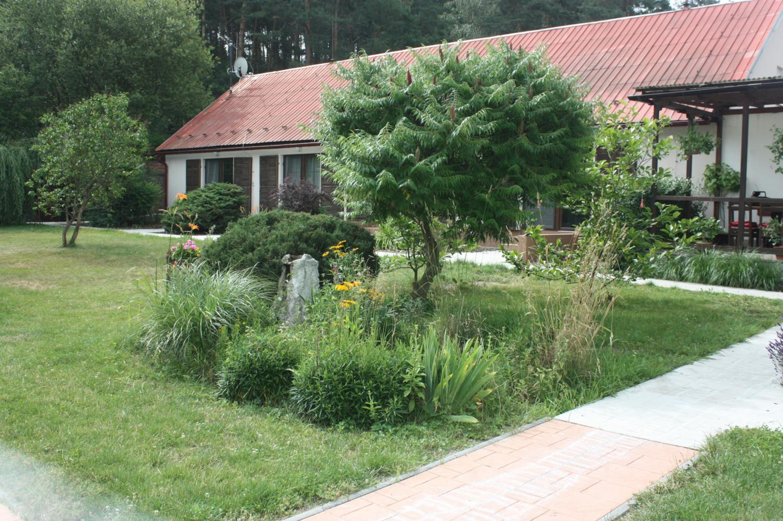 Barvicka