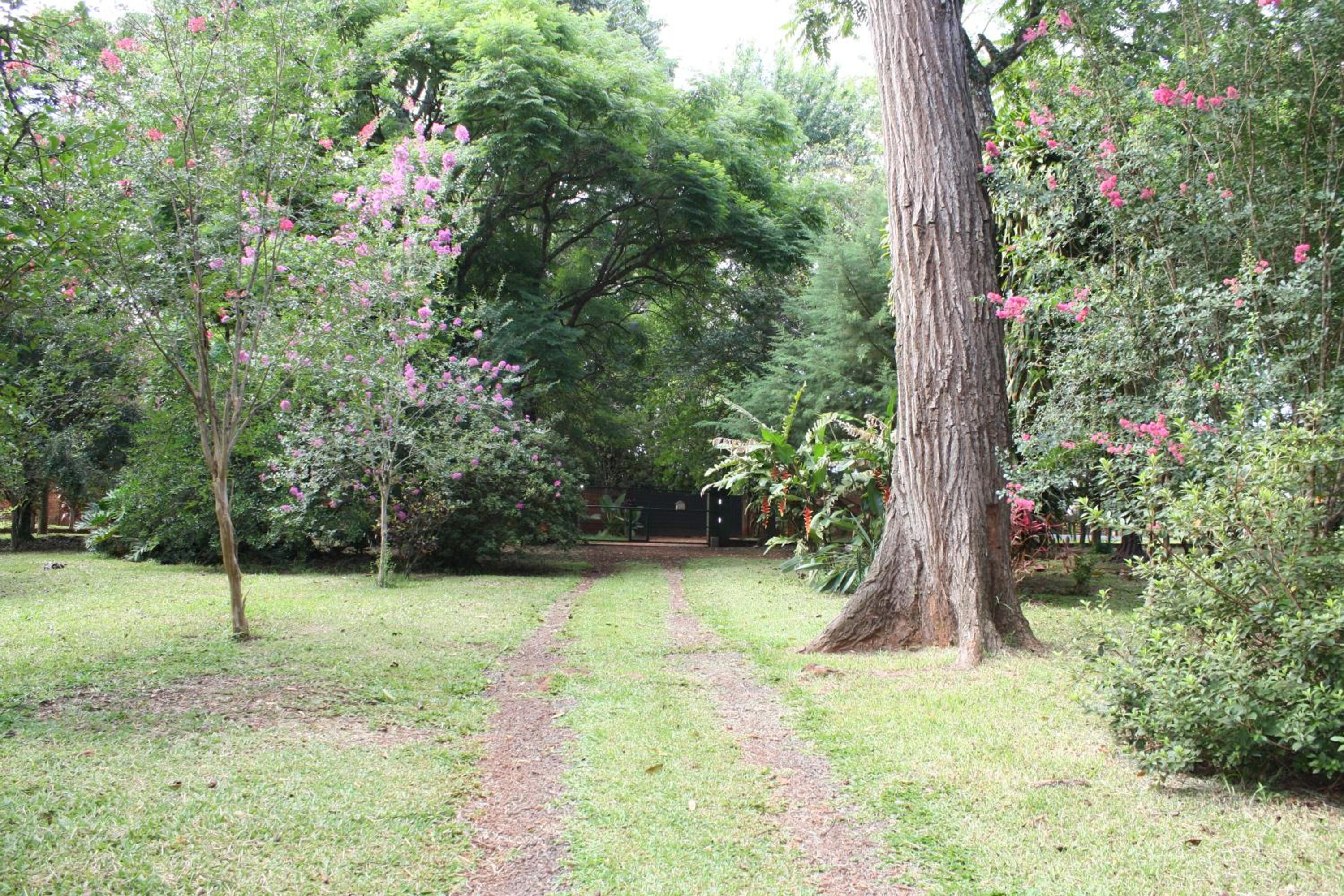 Oasis Bed and Breakfast