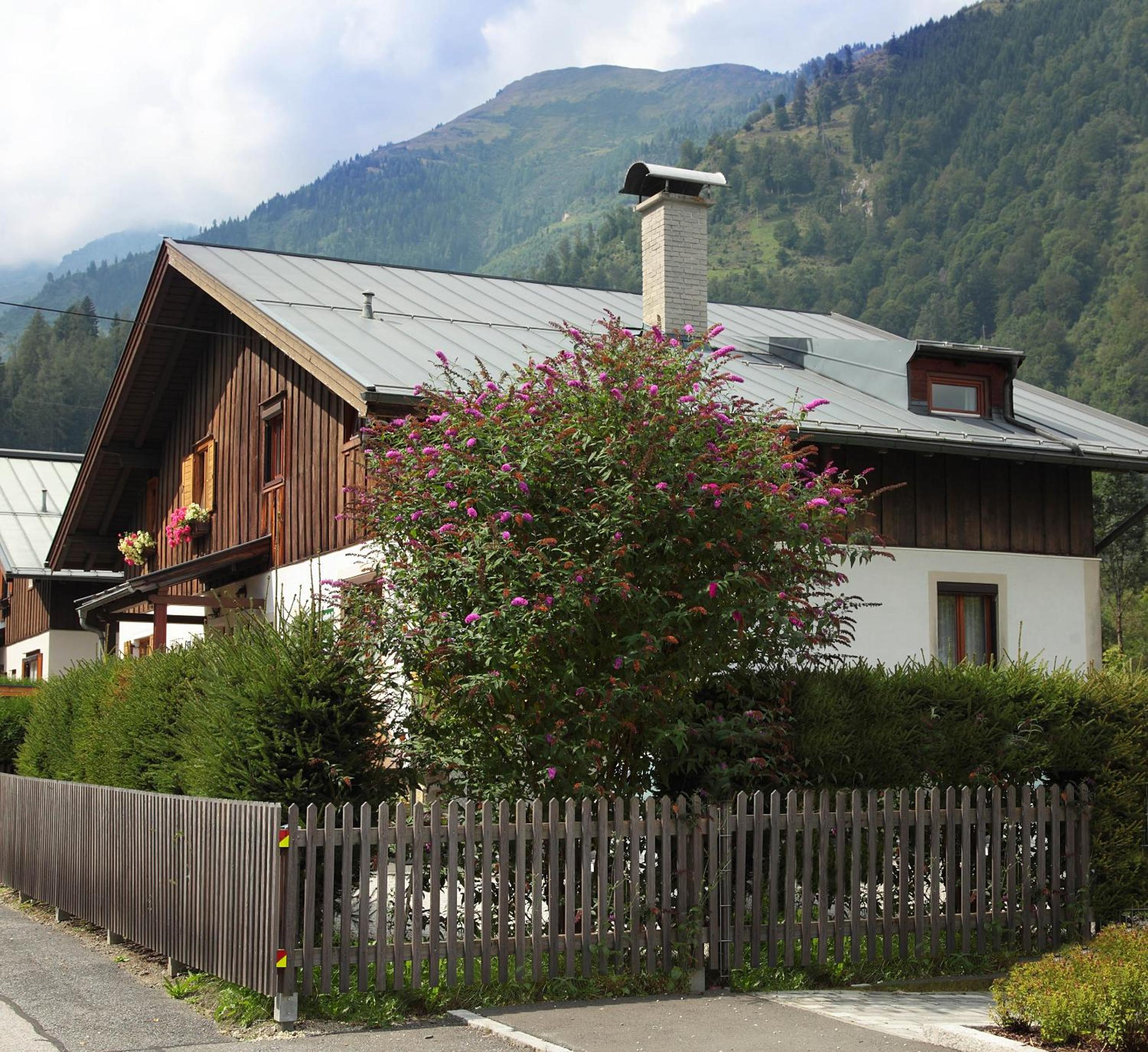 Photo 42