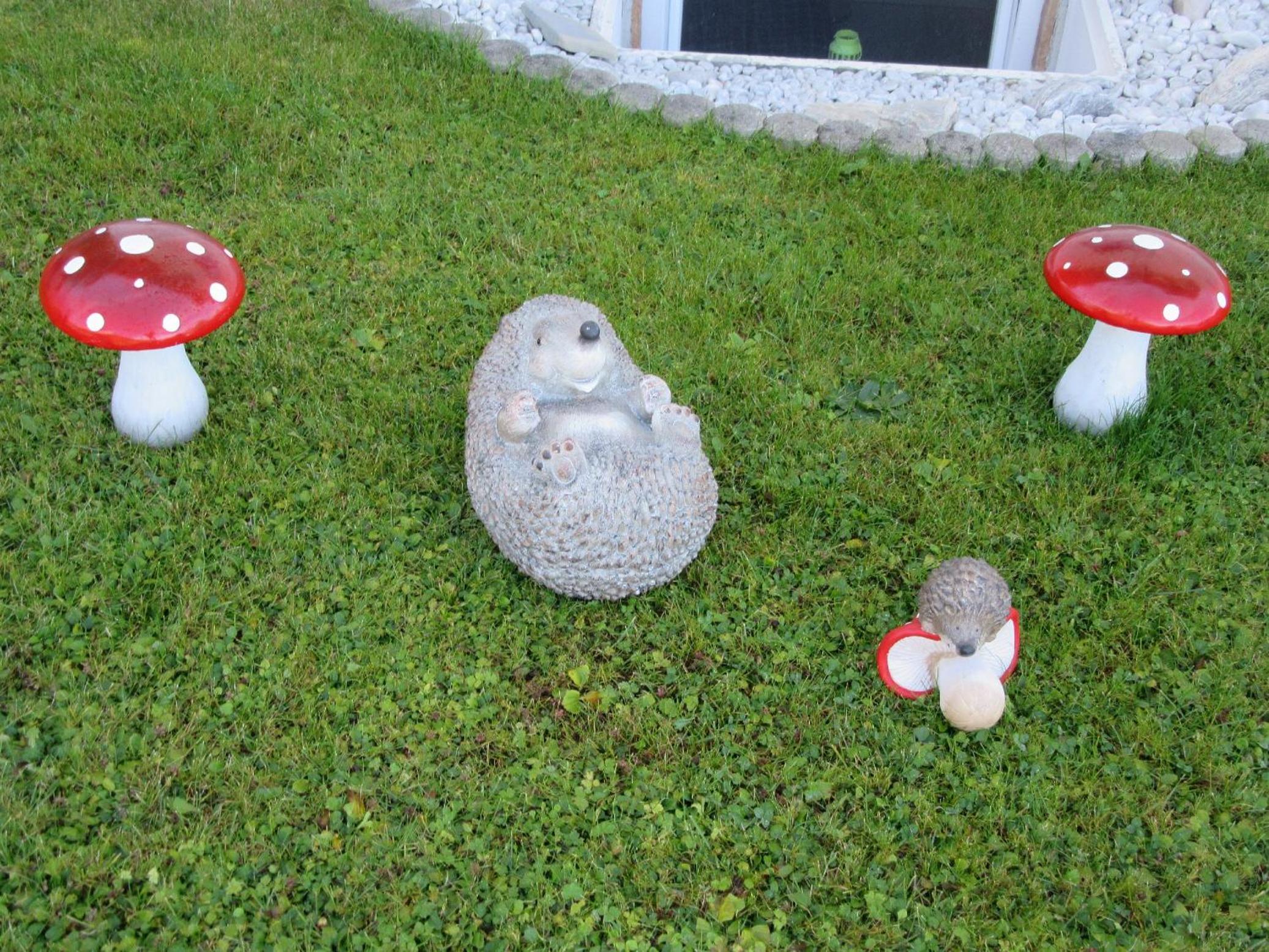 Photo 61