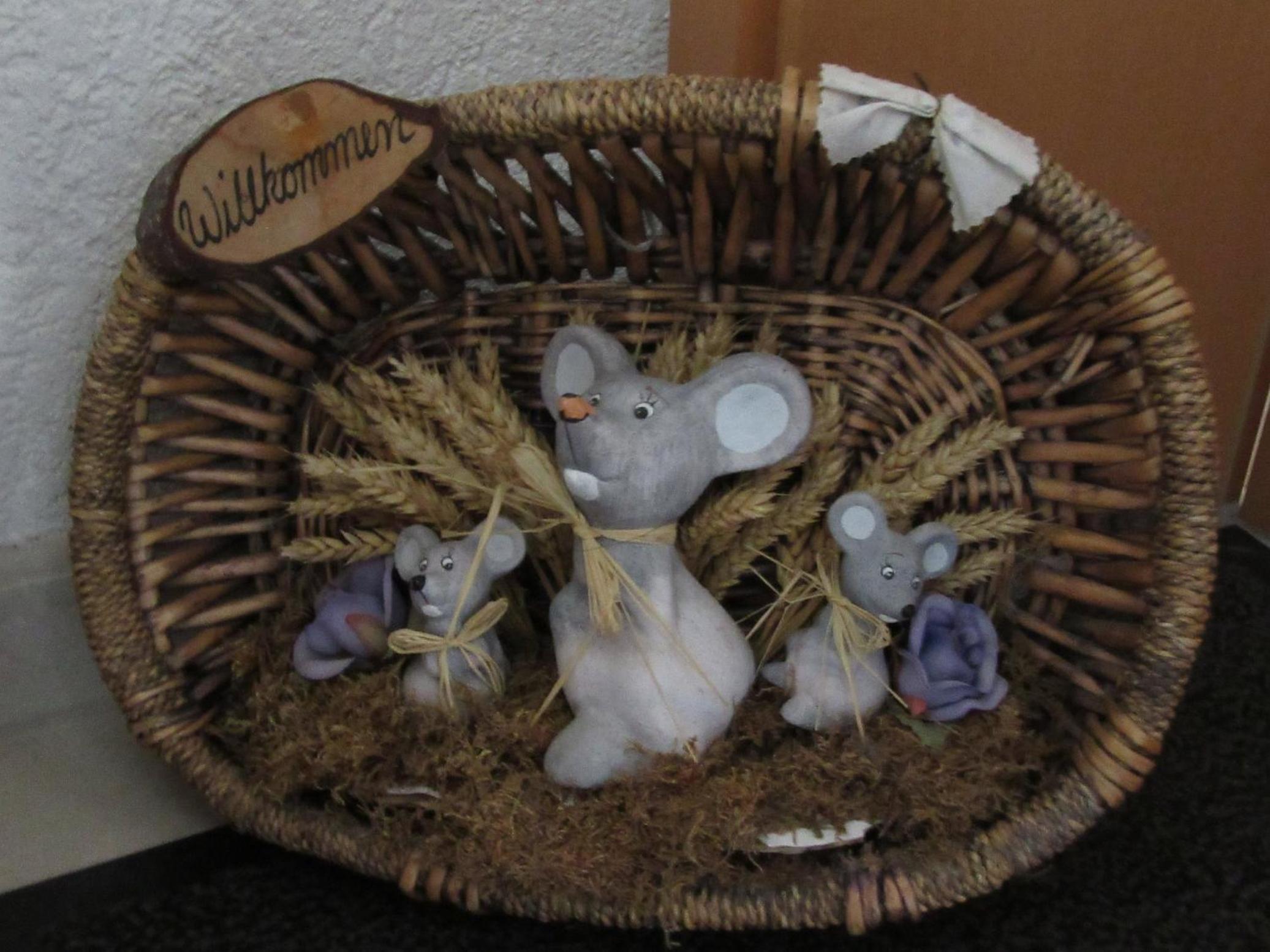 Photo 72