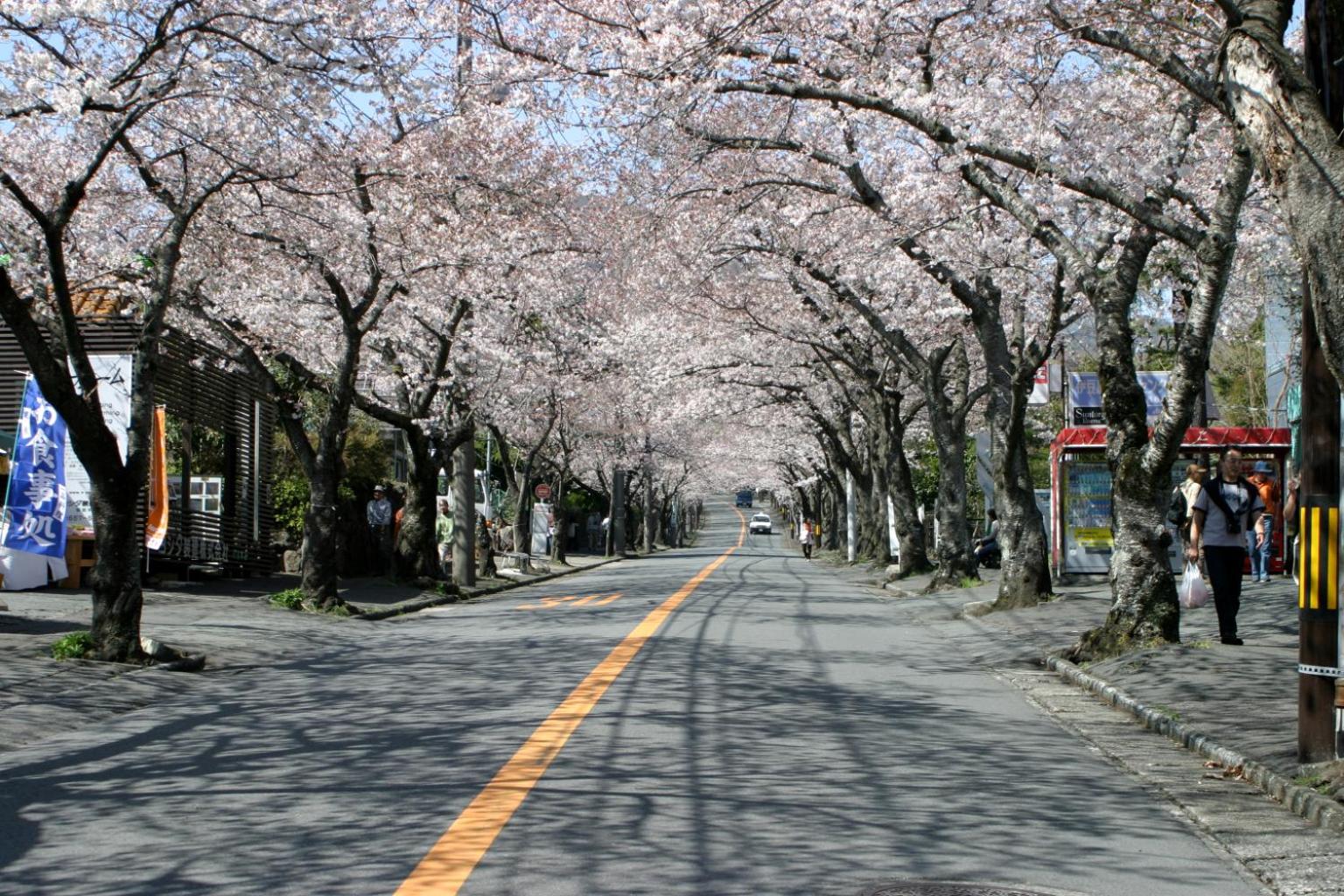 IZU RETREAT by Onko Chishin