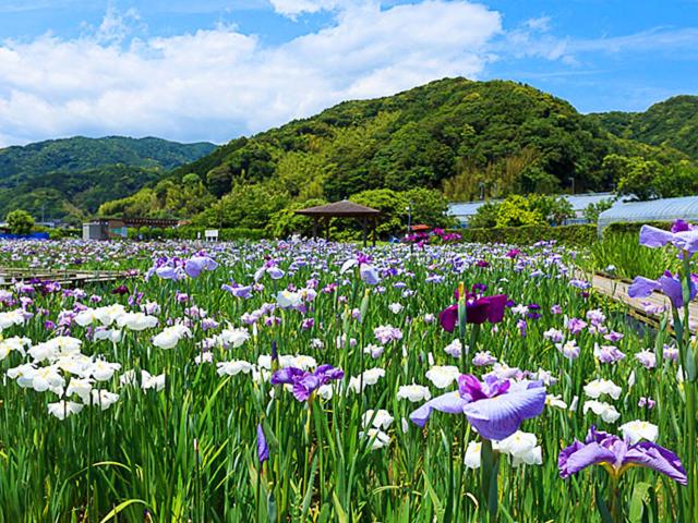 IZU RETREAT by Onko Chishin