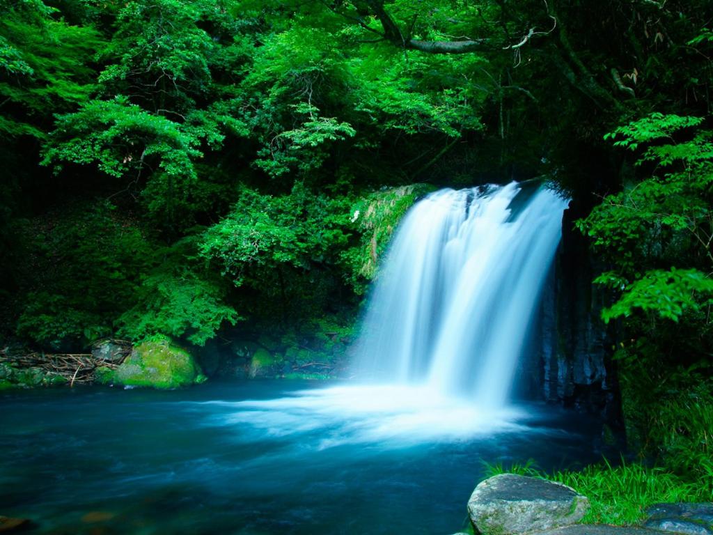 IZU RETREAT by Onko Chishin