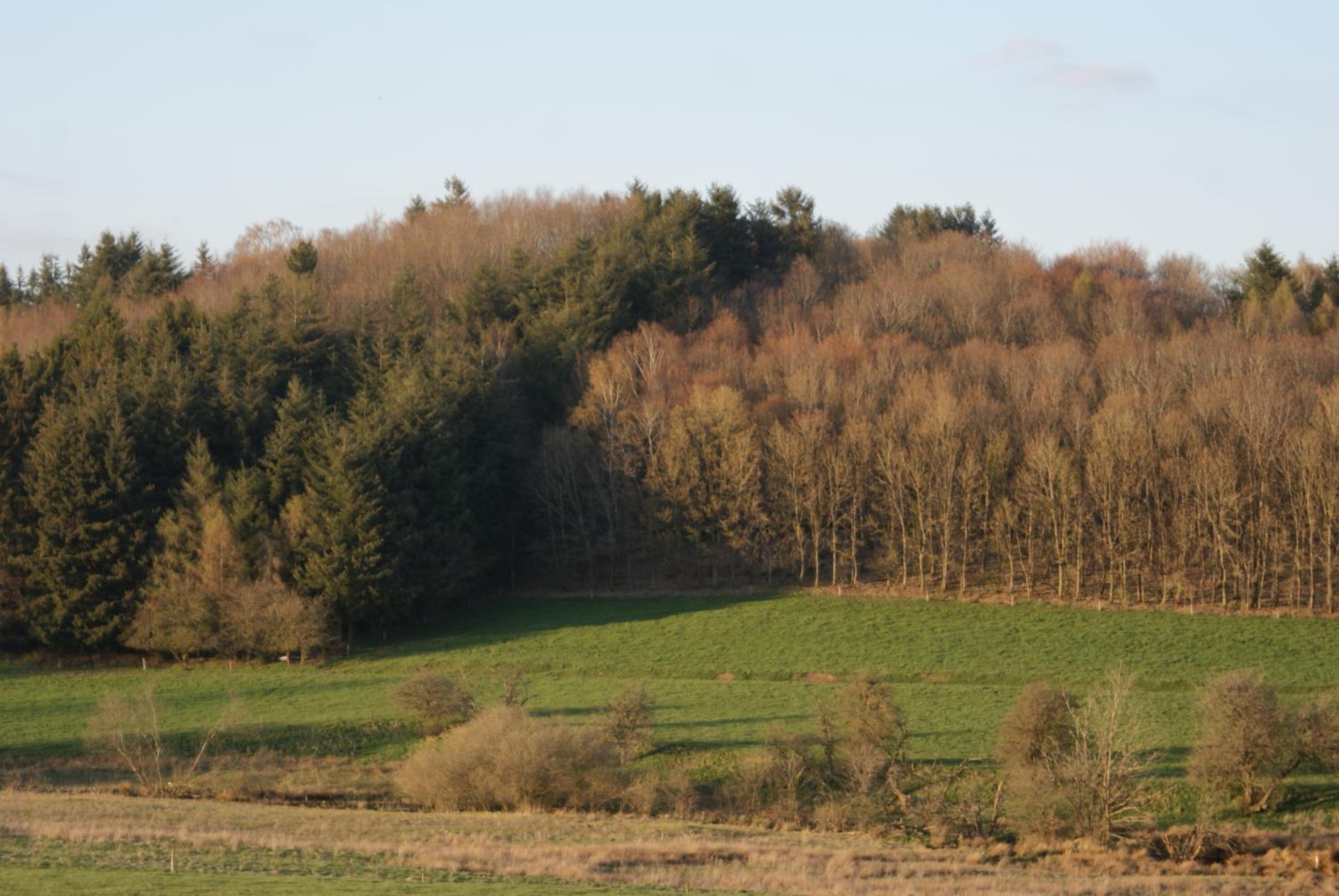 Le gîte de l Ourthe