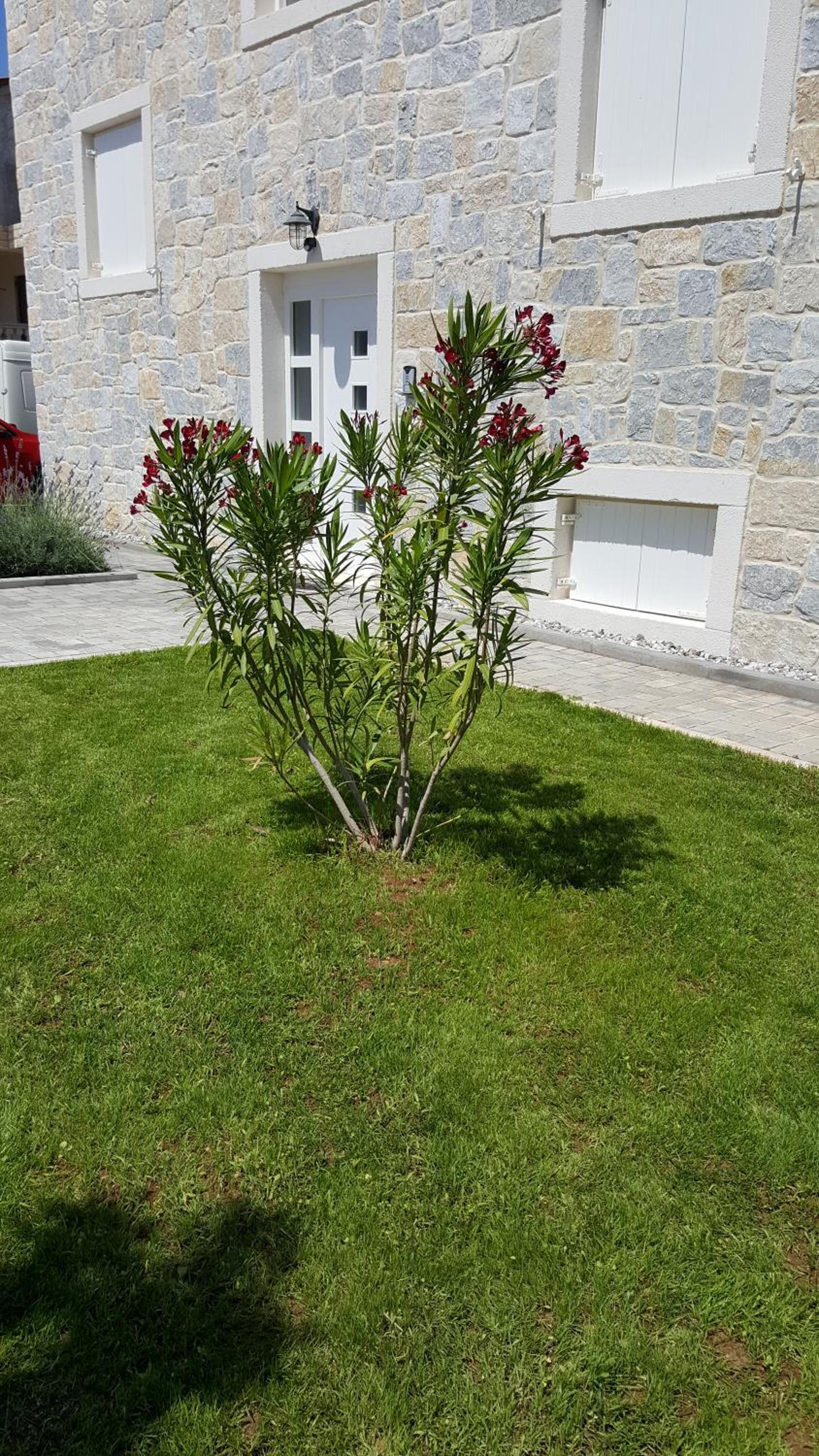 Hotel Apartments Rustic - Image 1