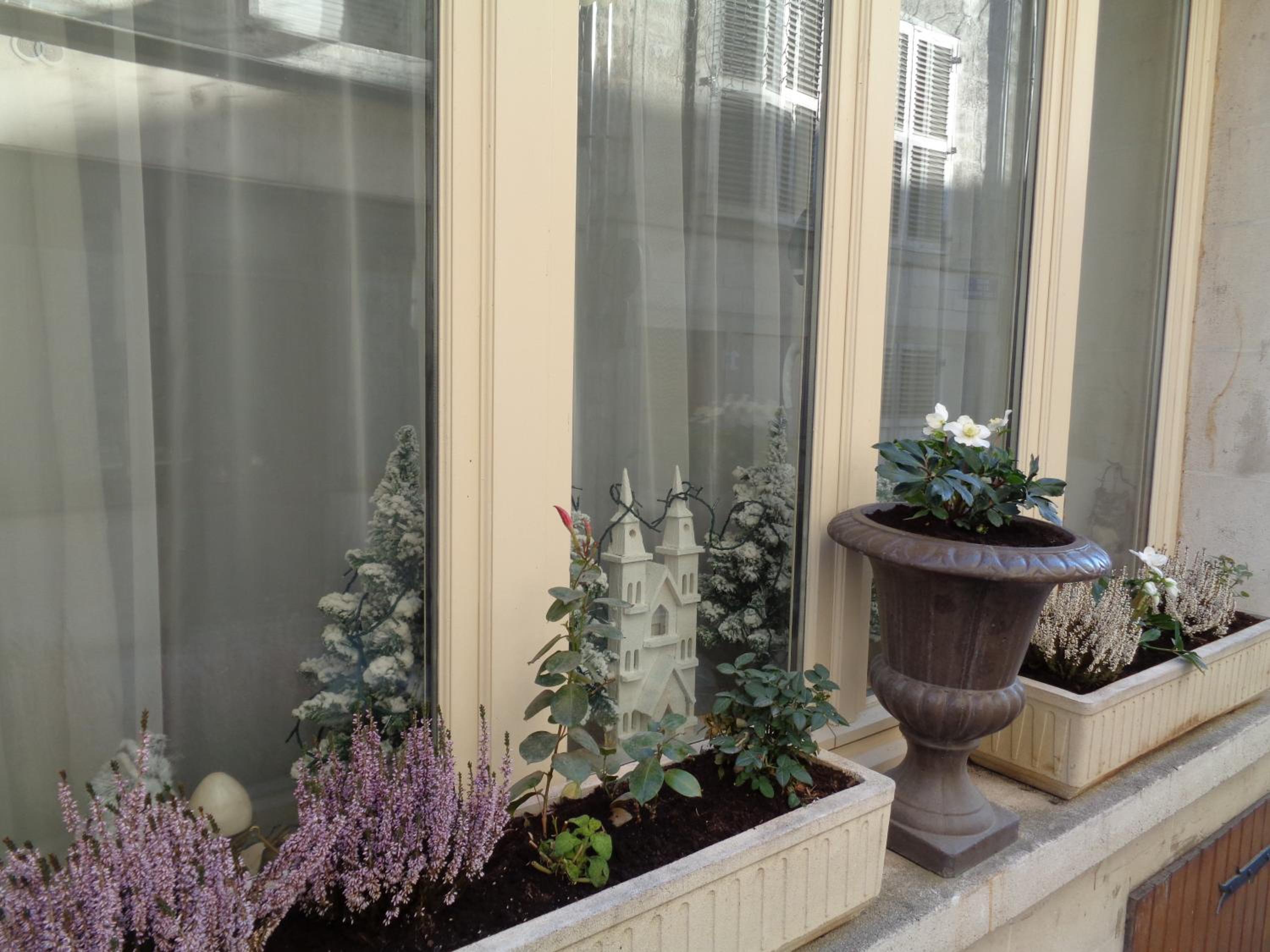 Photo 49