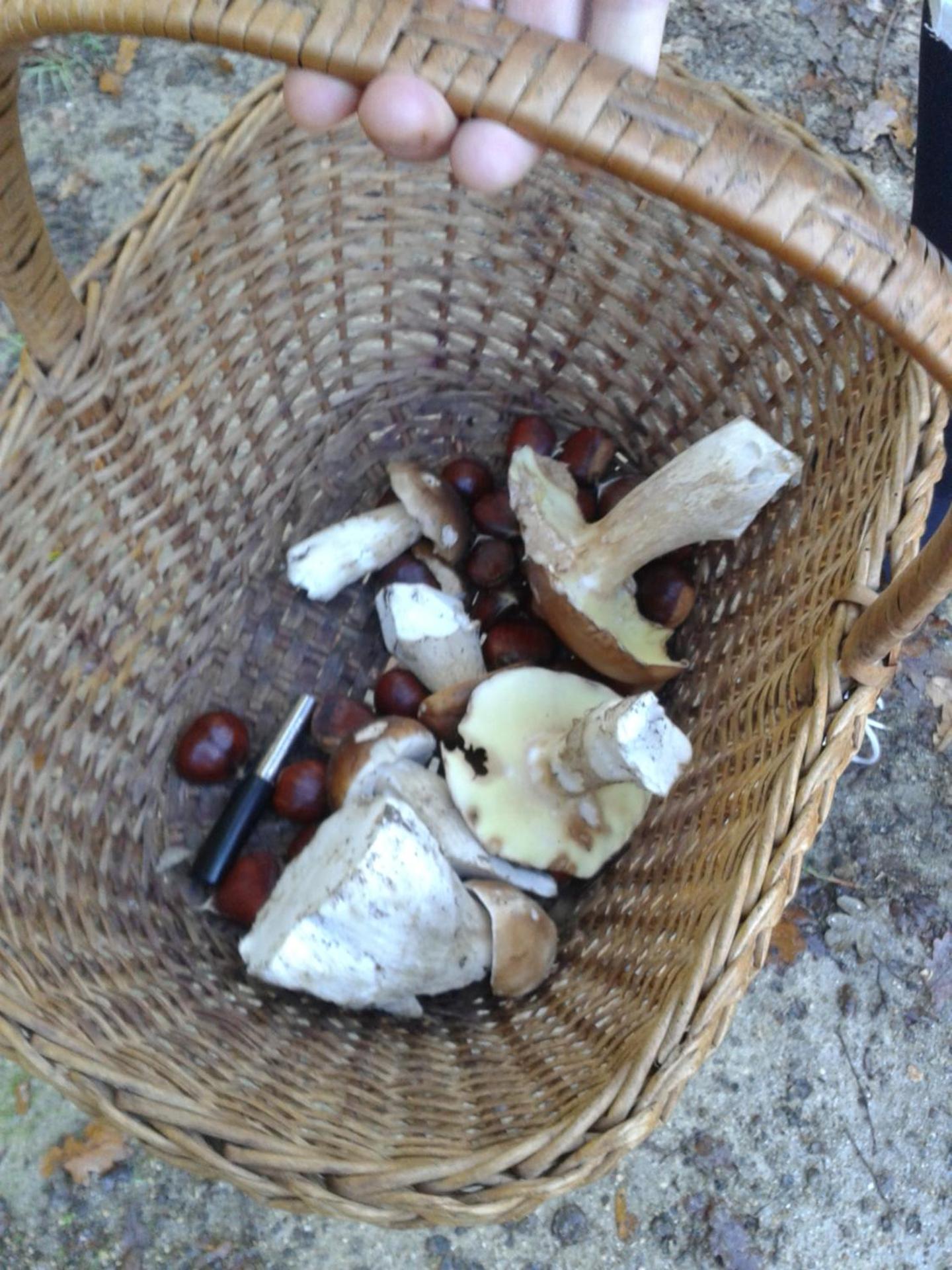 Photo 22
