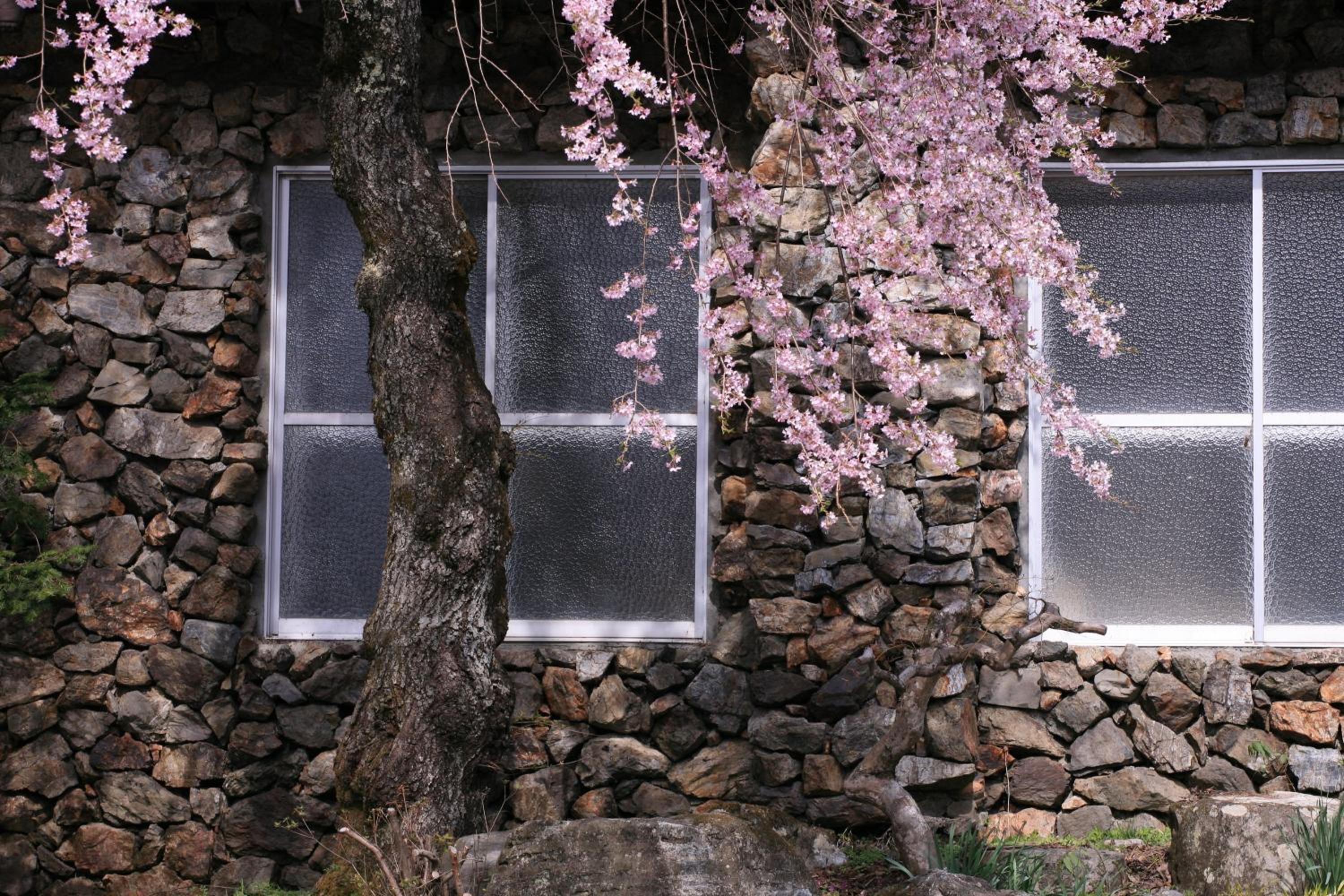 Nukumorino-yado Komanoyu