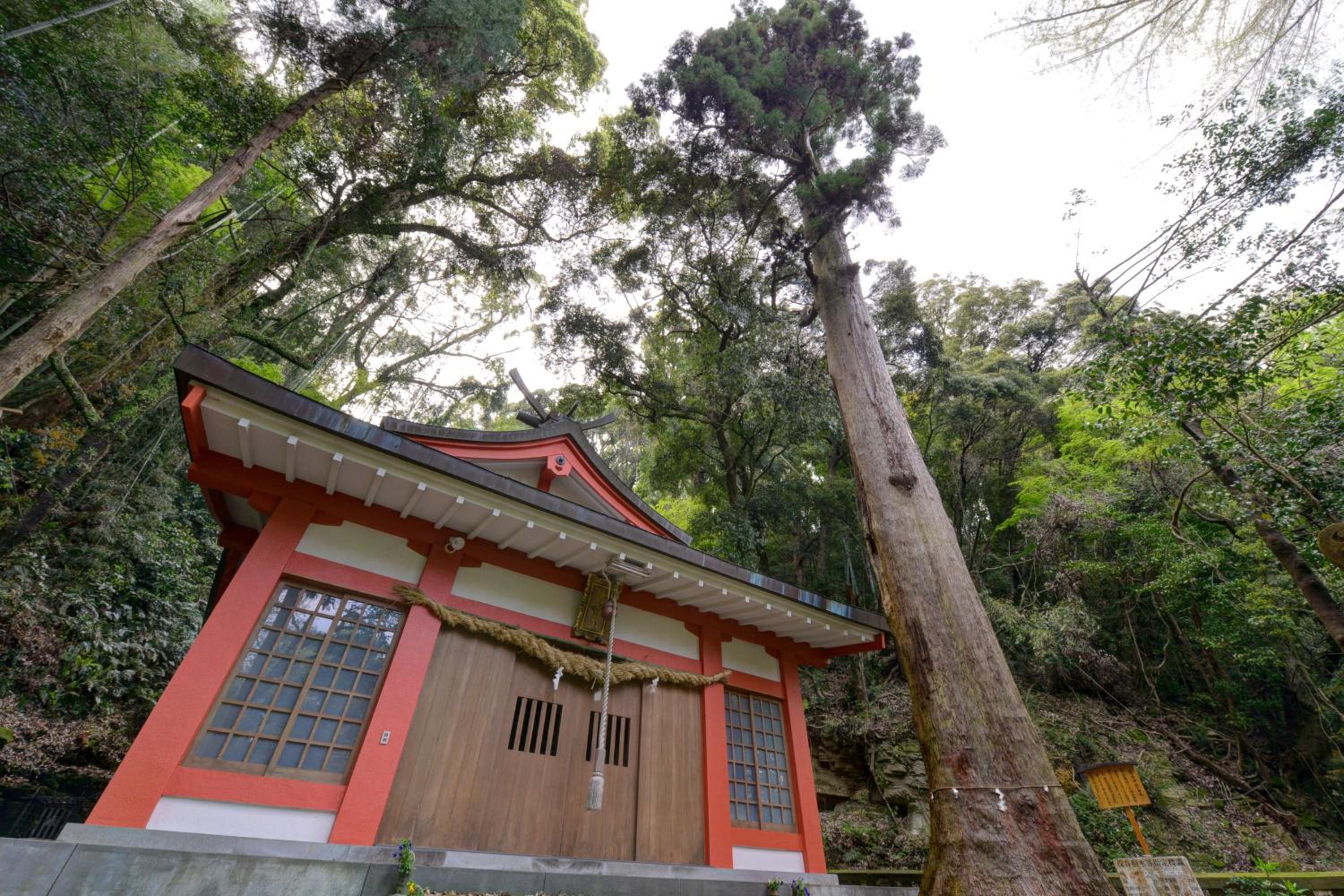 Honjin