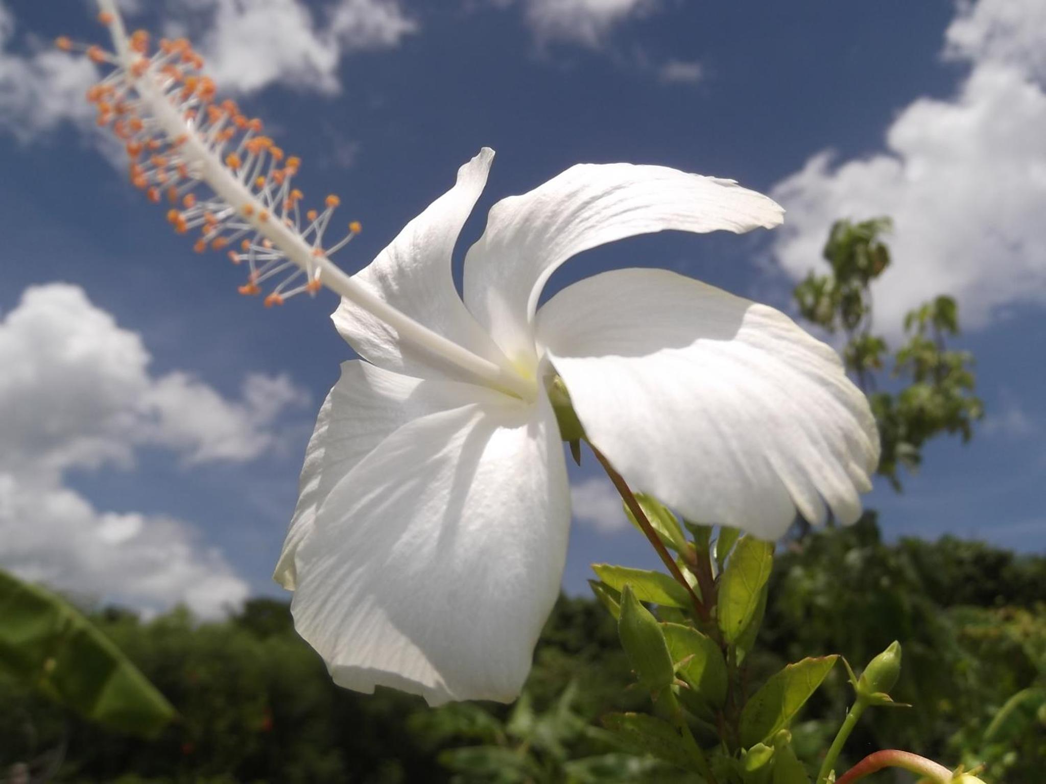 YOISAMA Sunrise Beach House