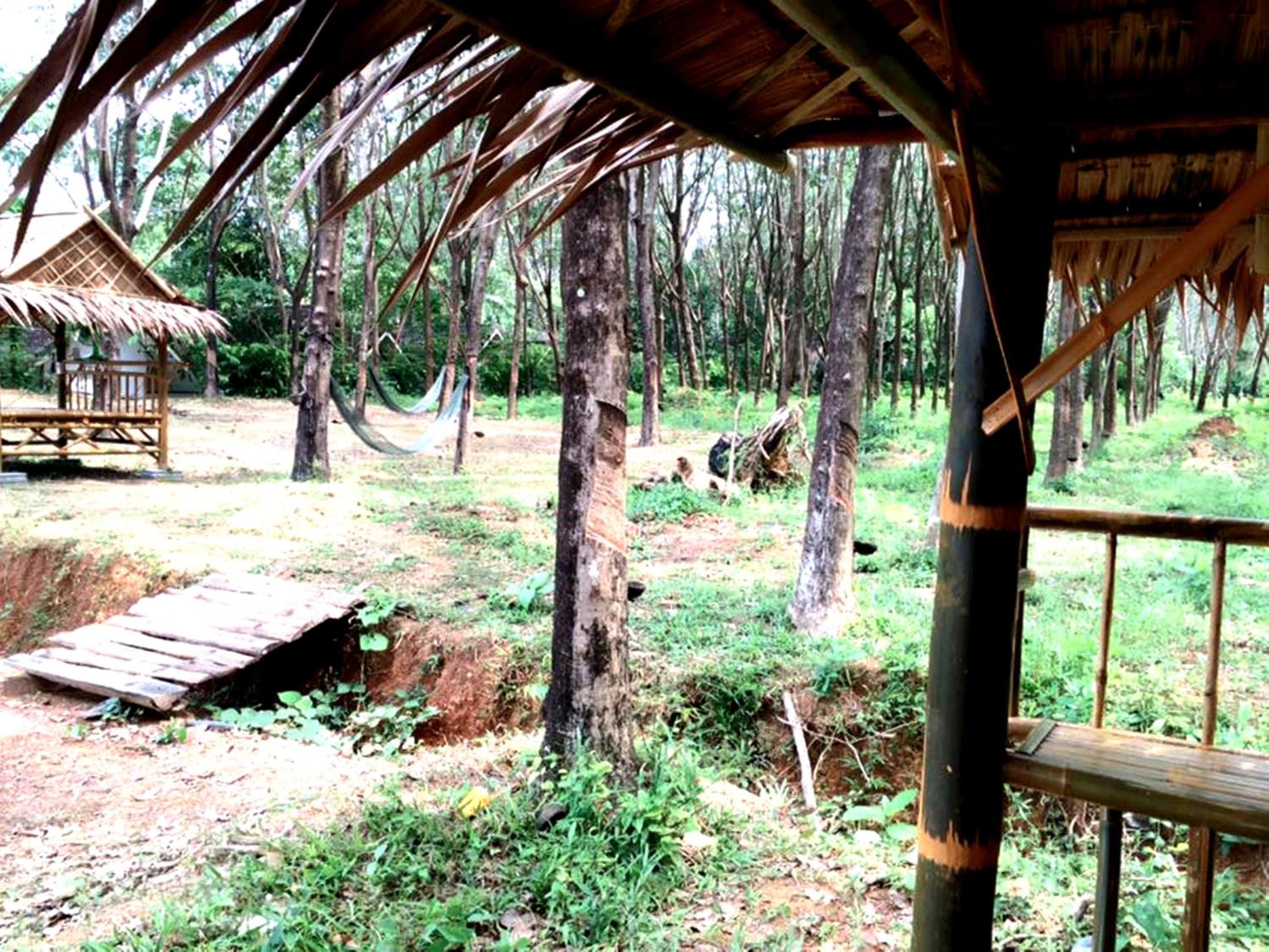 Rimsuan House