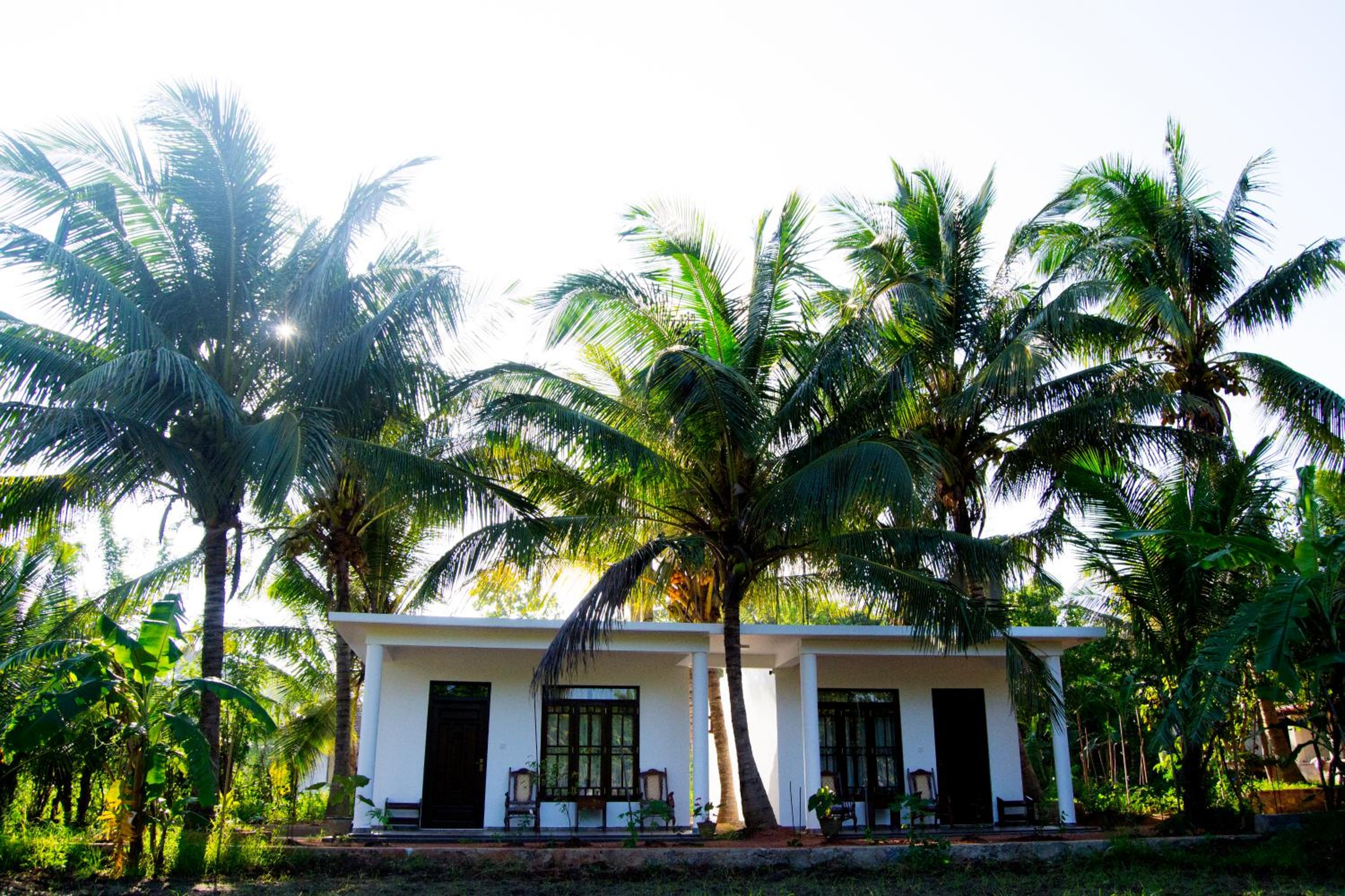 Shady mango villa view 3