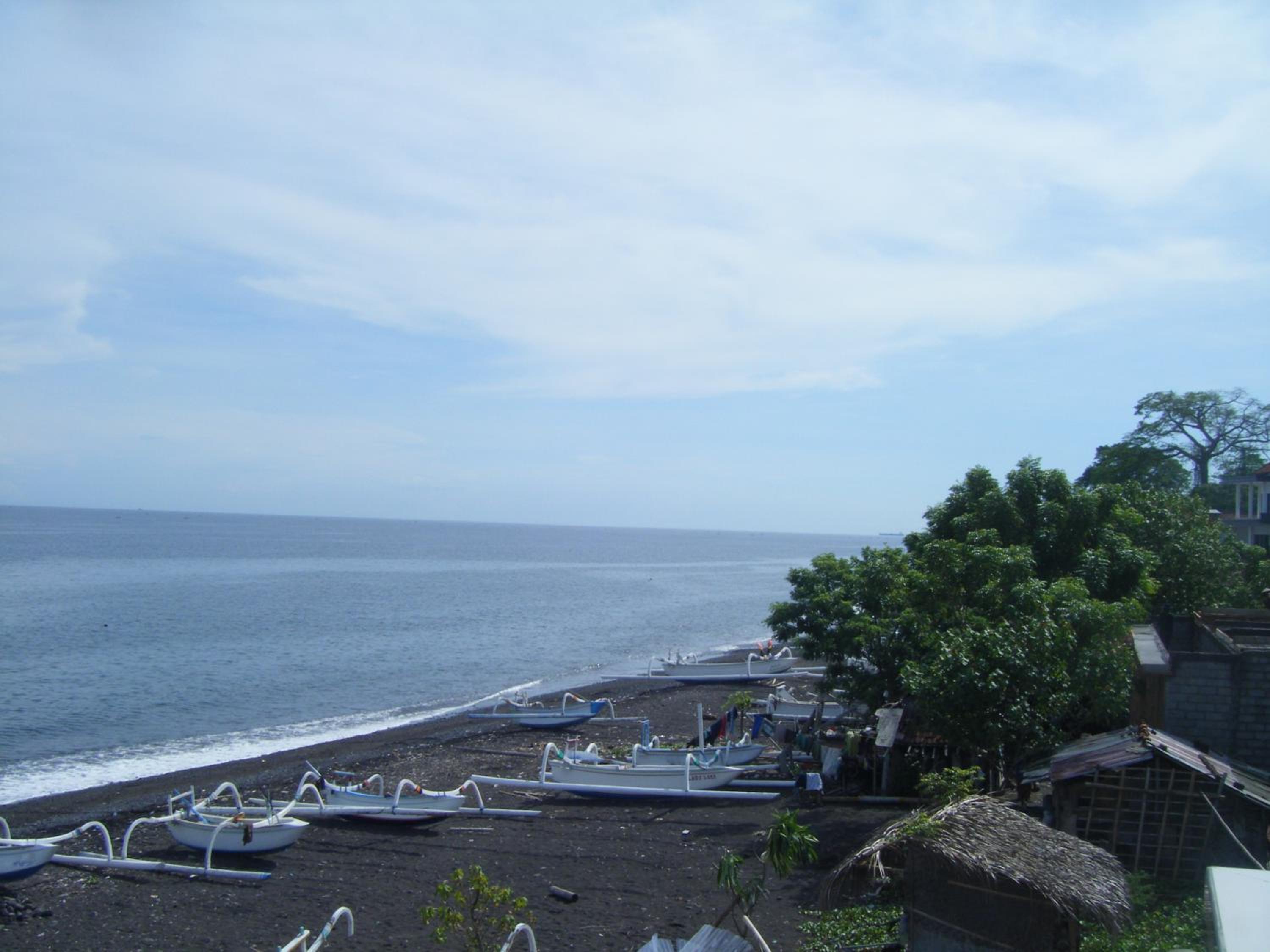 Photo 44