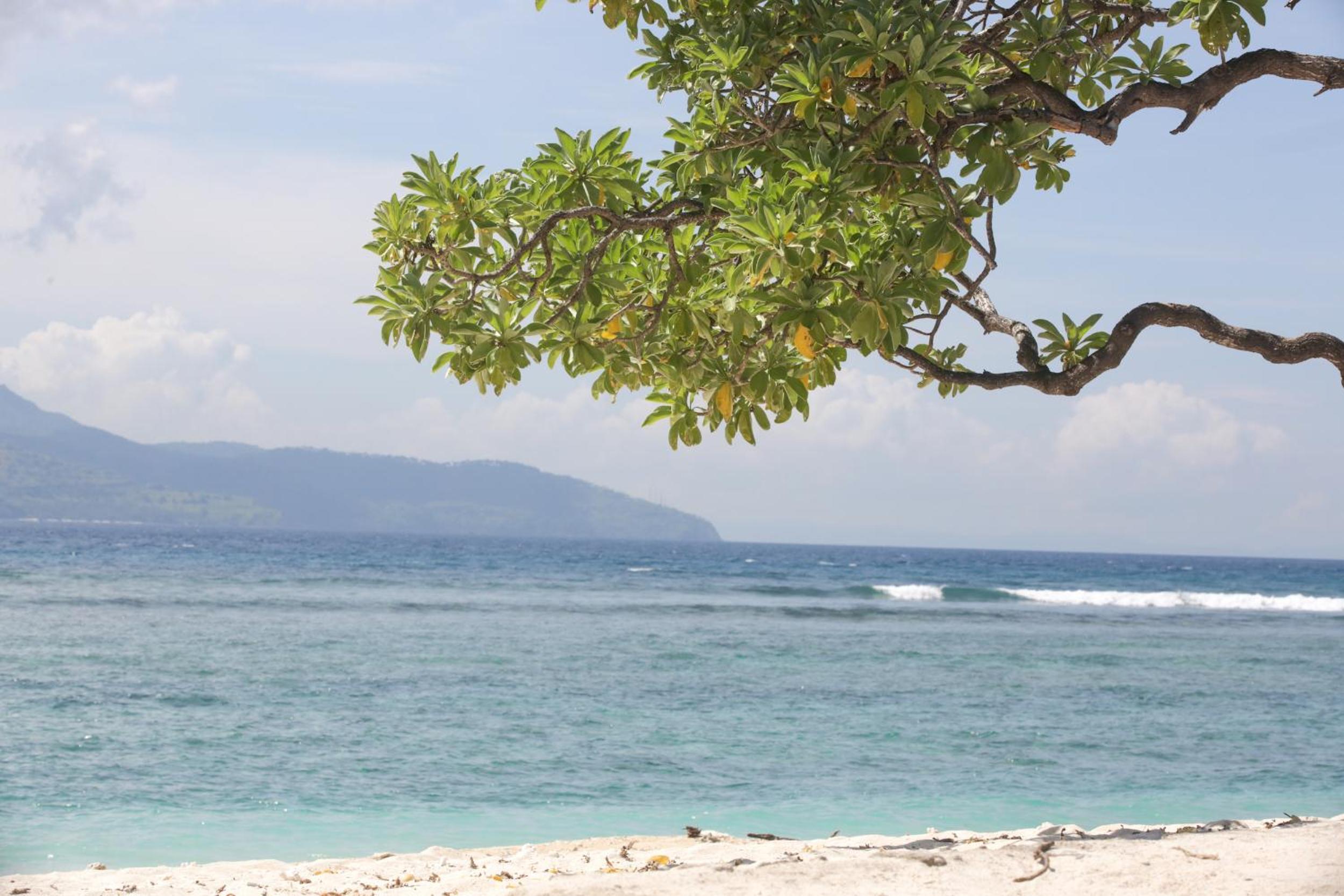 Villas Edenia - Luxe Villas with Private Pools