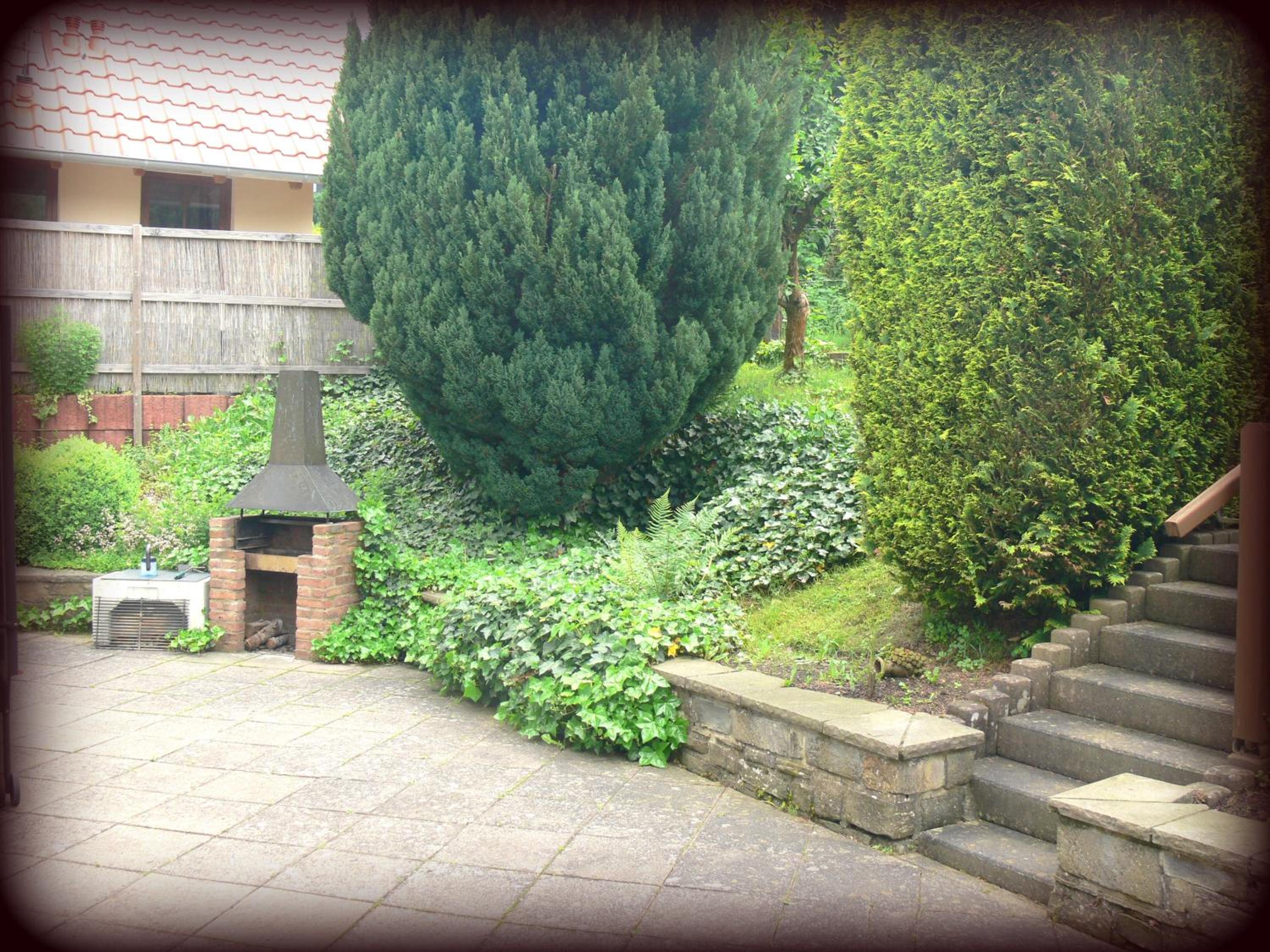 Photo 49