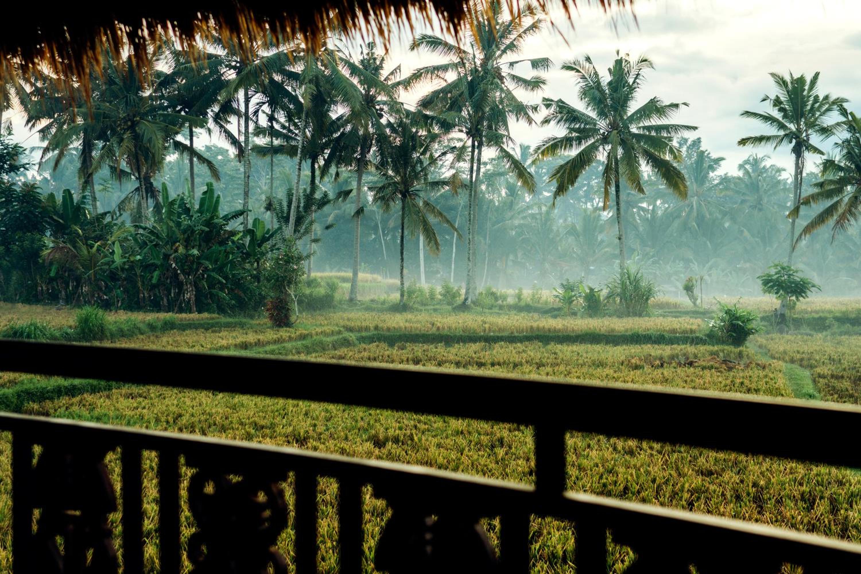 Honai Resort 45