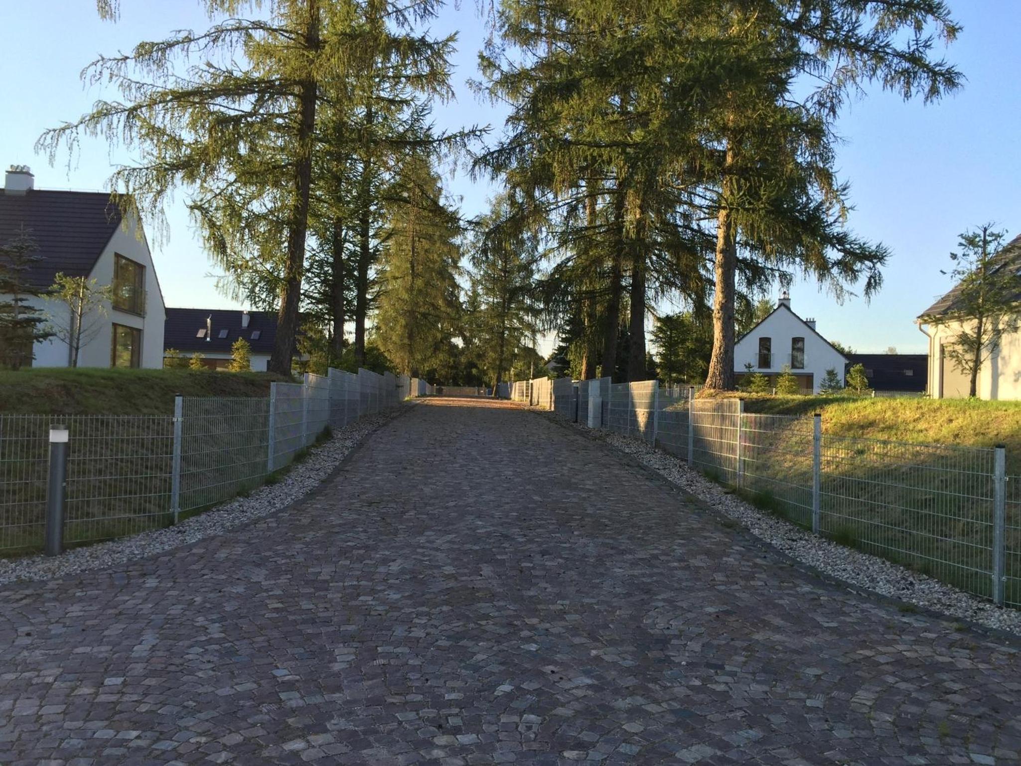Photo 41