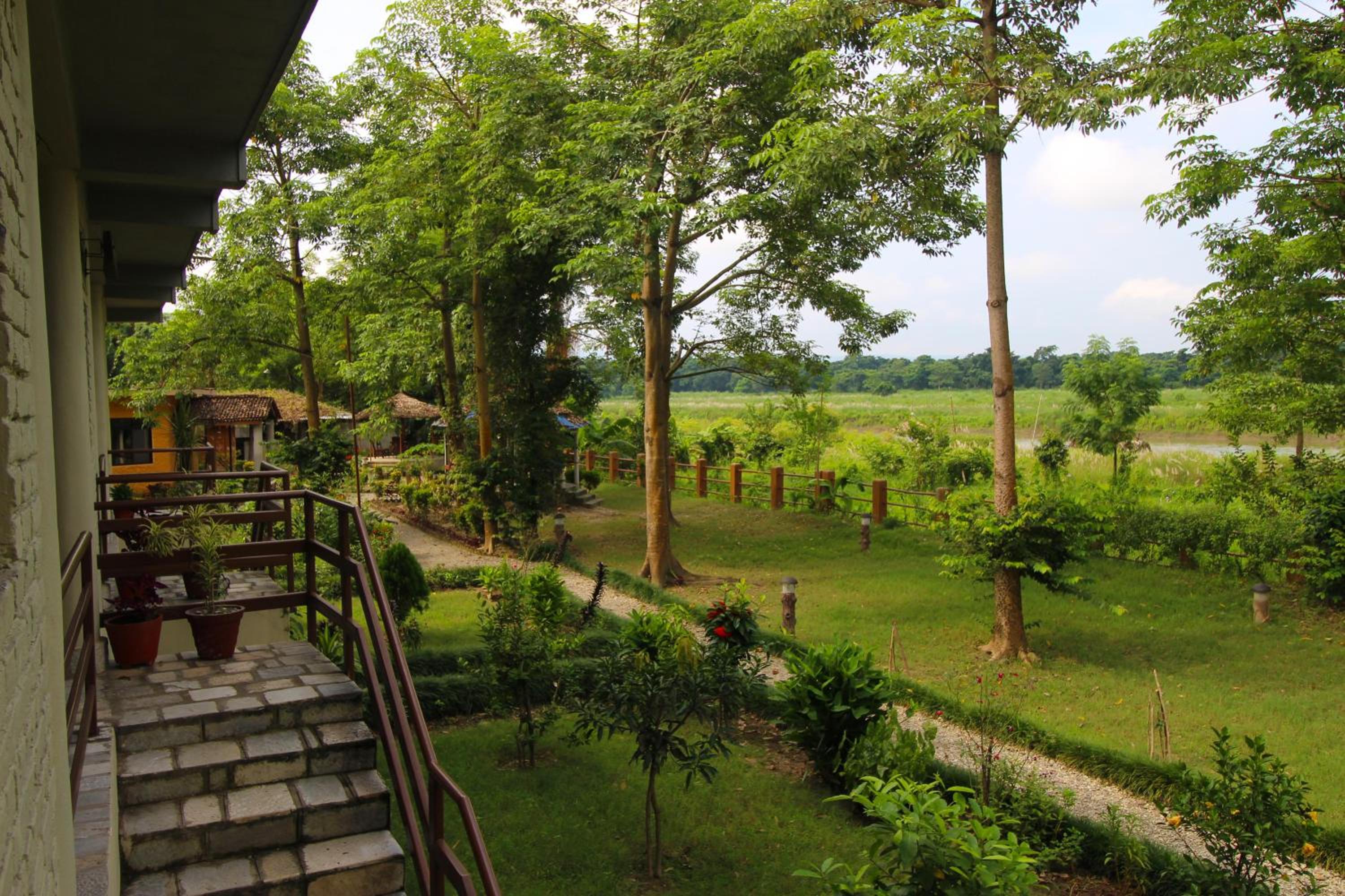 River View Jungle Camp