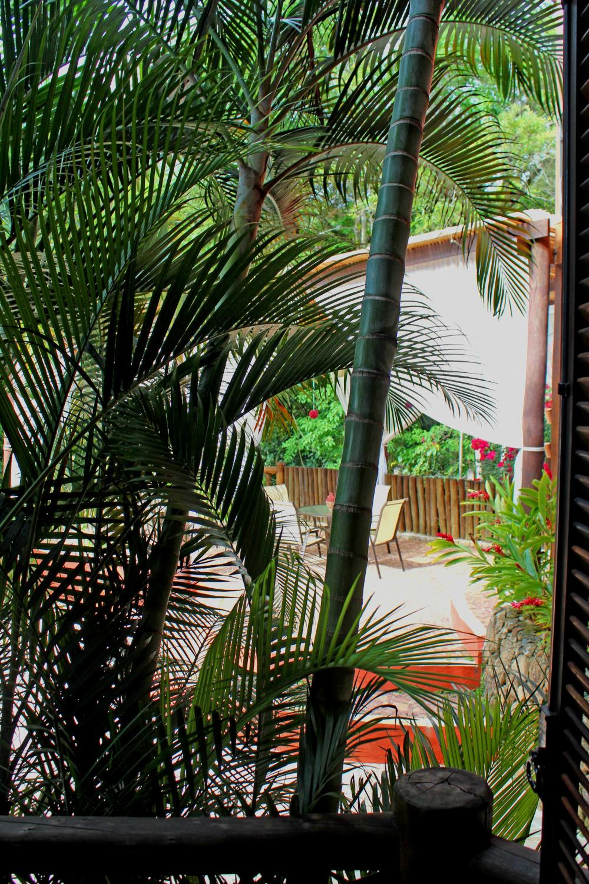 Pousada Villaggio Assis