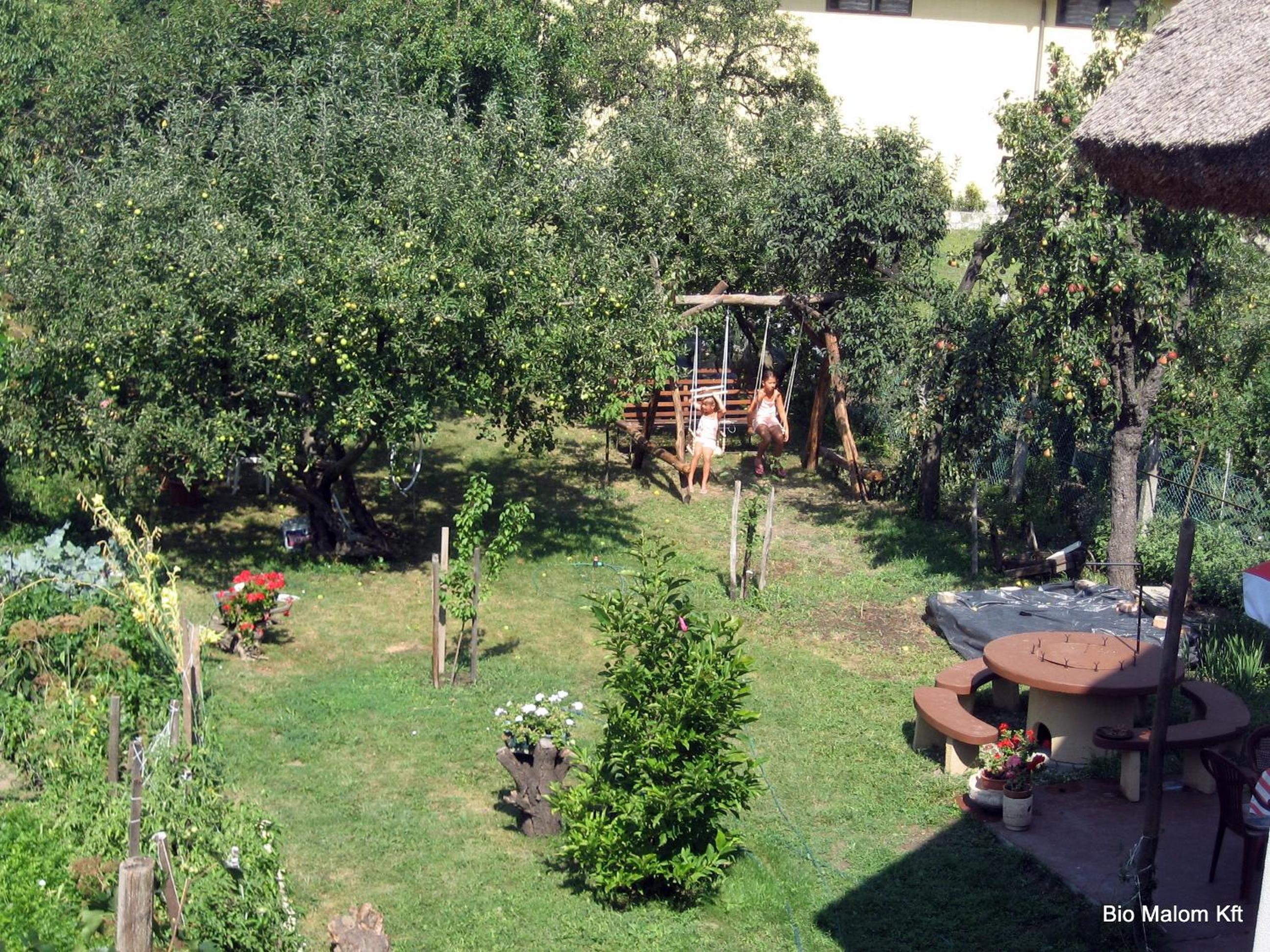 Photo 13