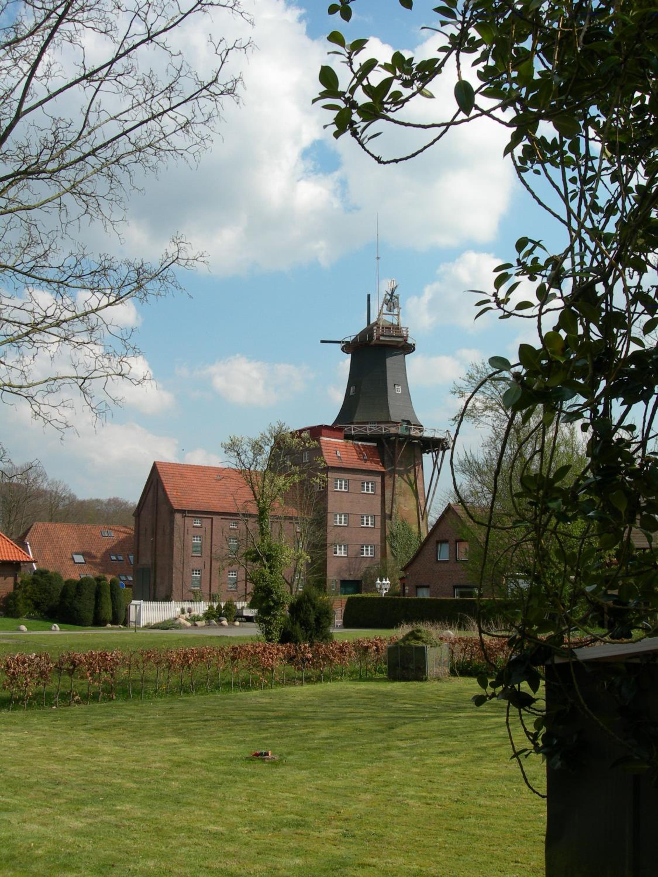 Photo 8