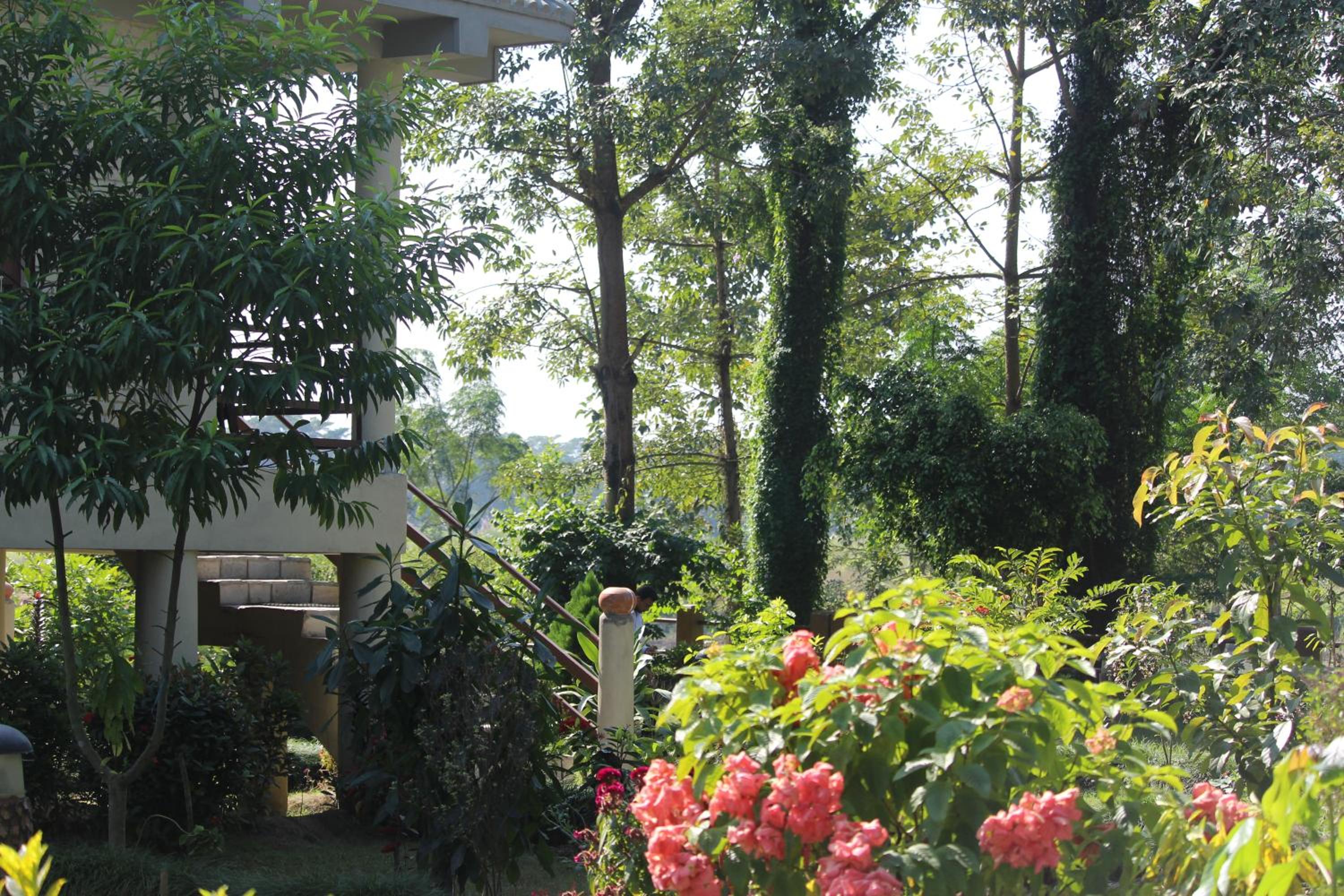 River View Jungle Camp