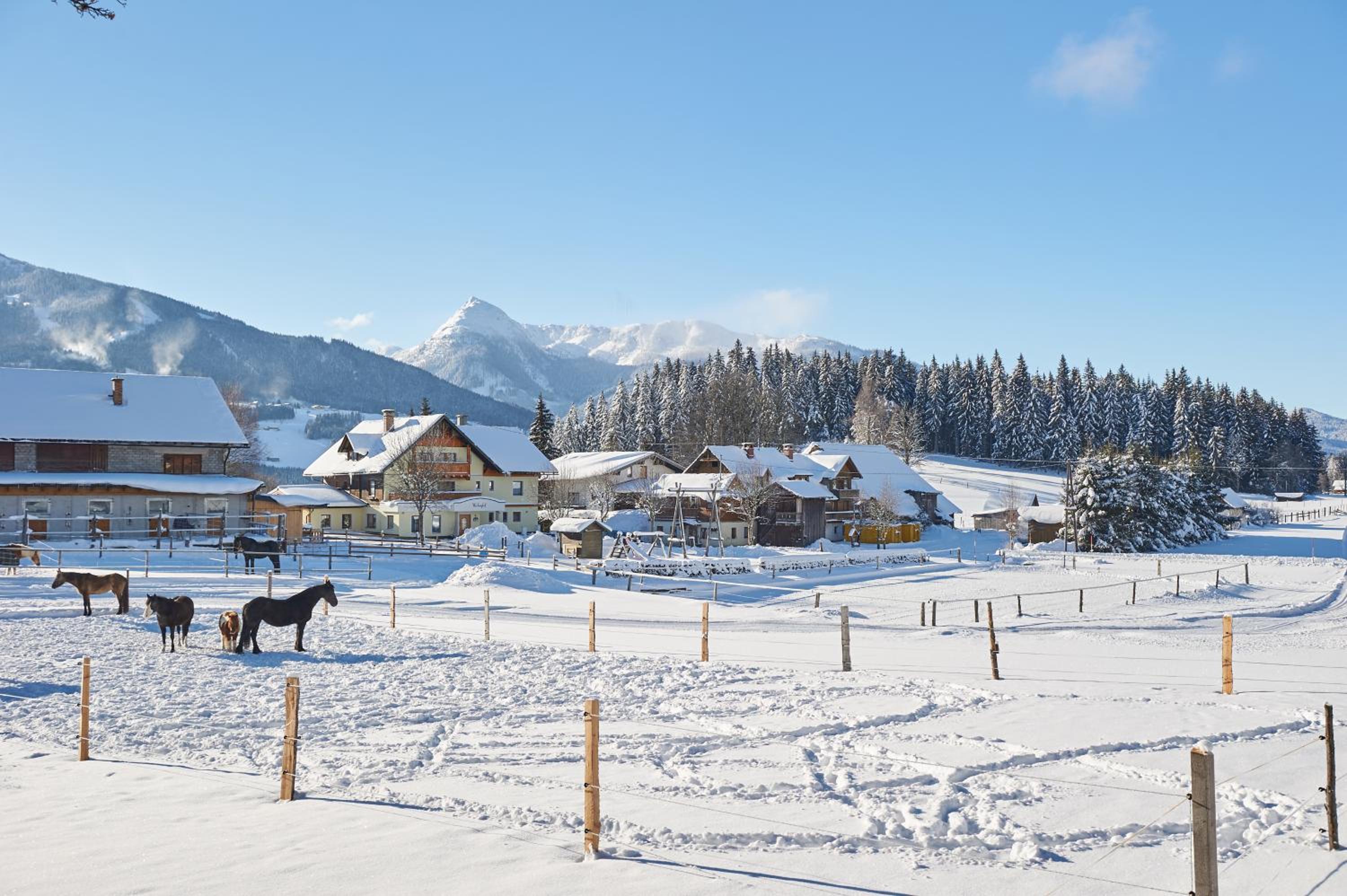 Pension Vorberghof- Bauernhofurlaub
