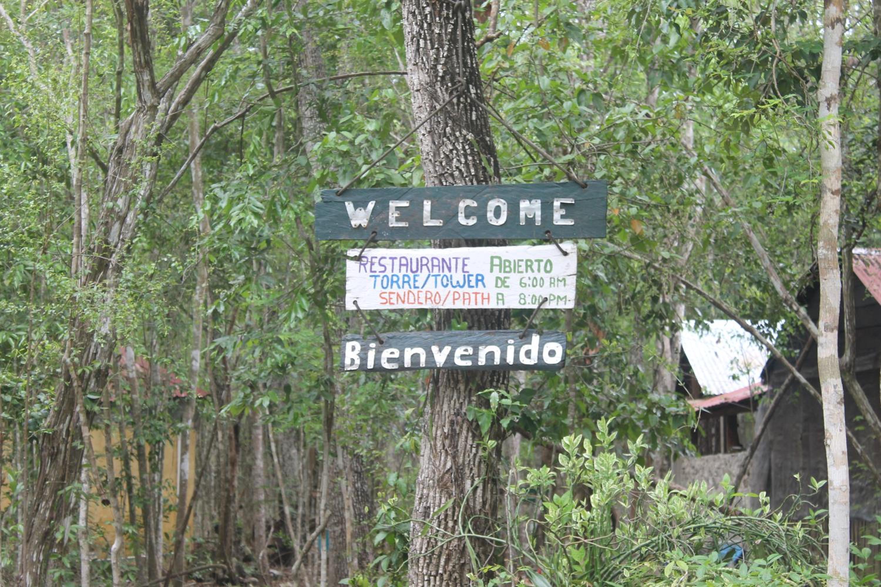 Campamento Yaax Che en Calakmul view 4