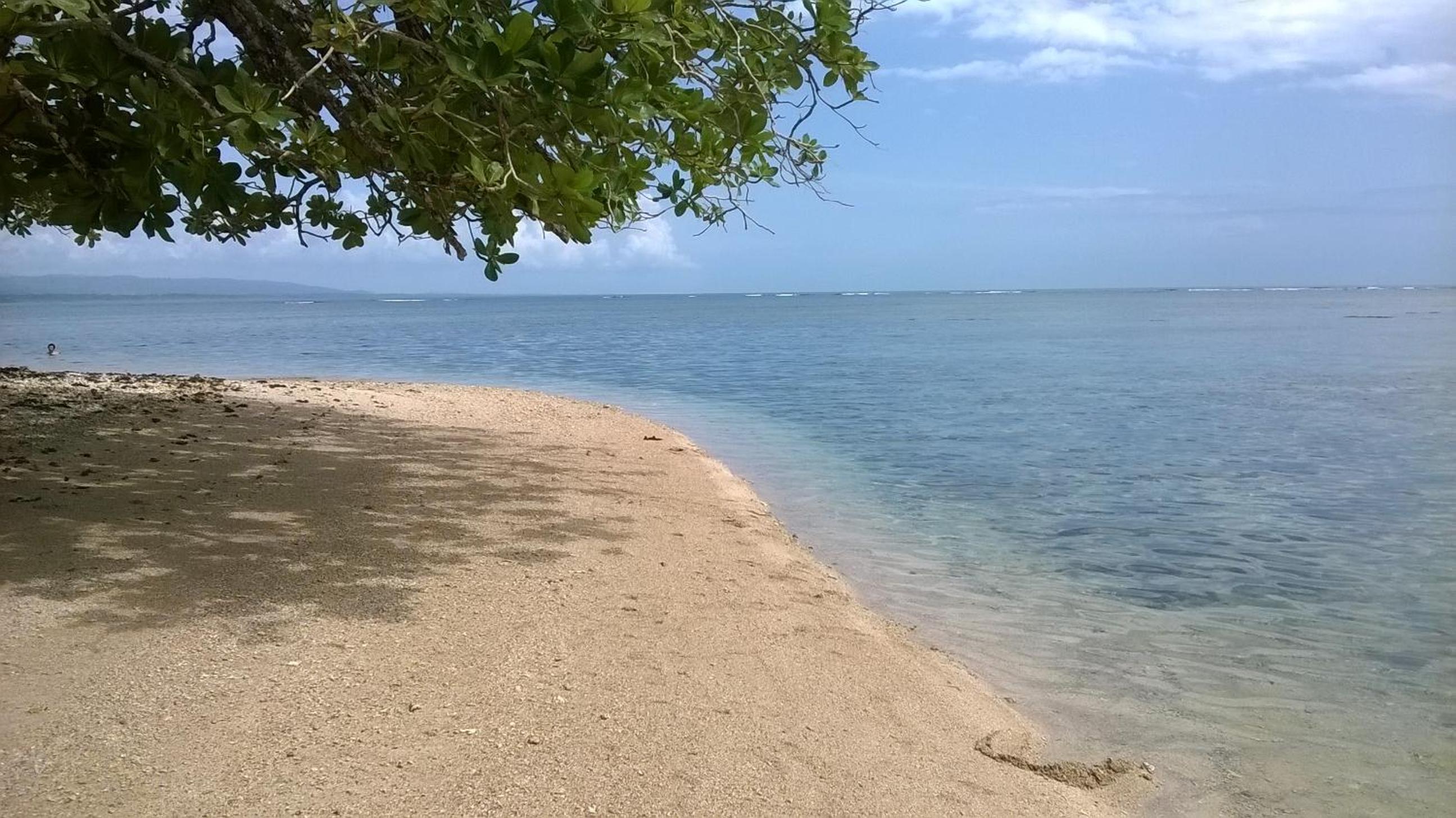 Cahuita Lodge