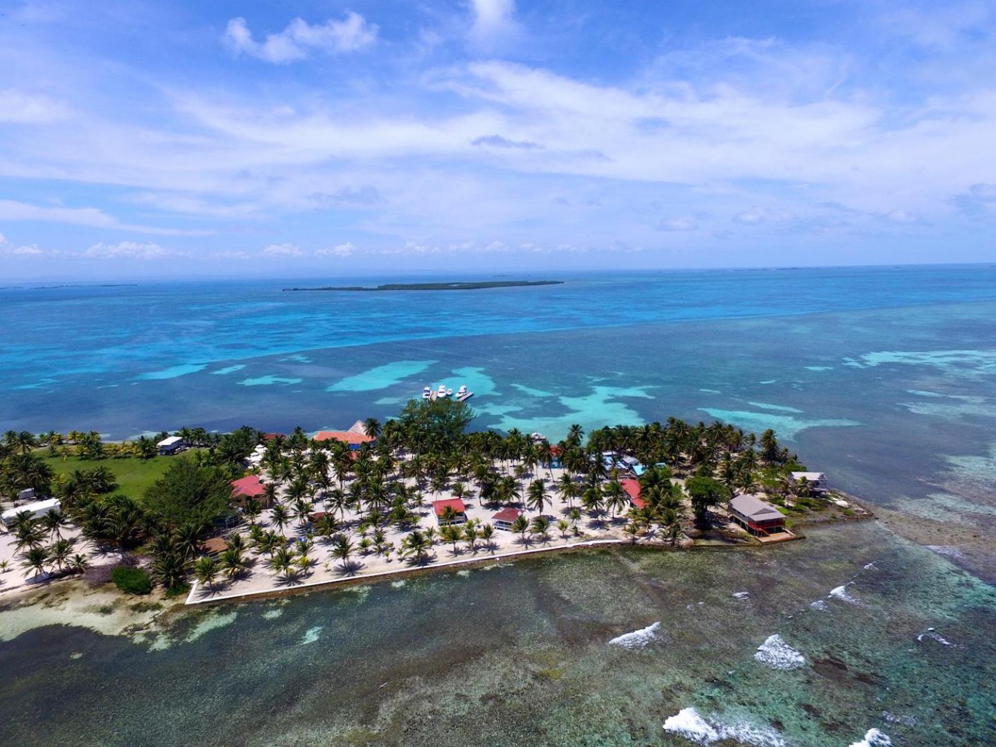 Belize Vacations - Blue Marlin Beach Resort - Property Image 2