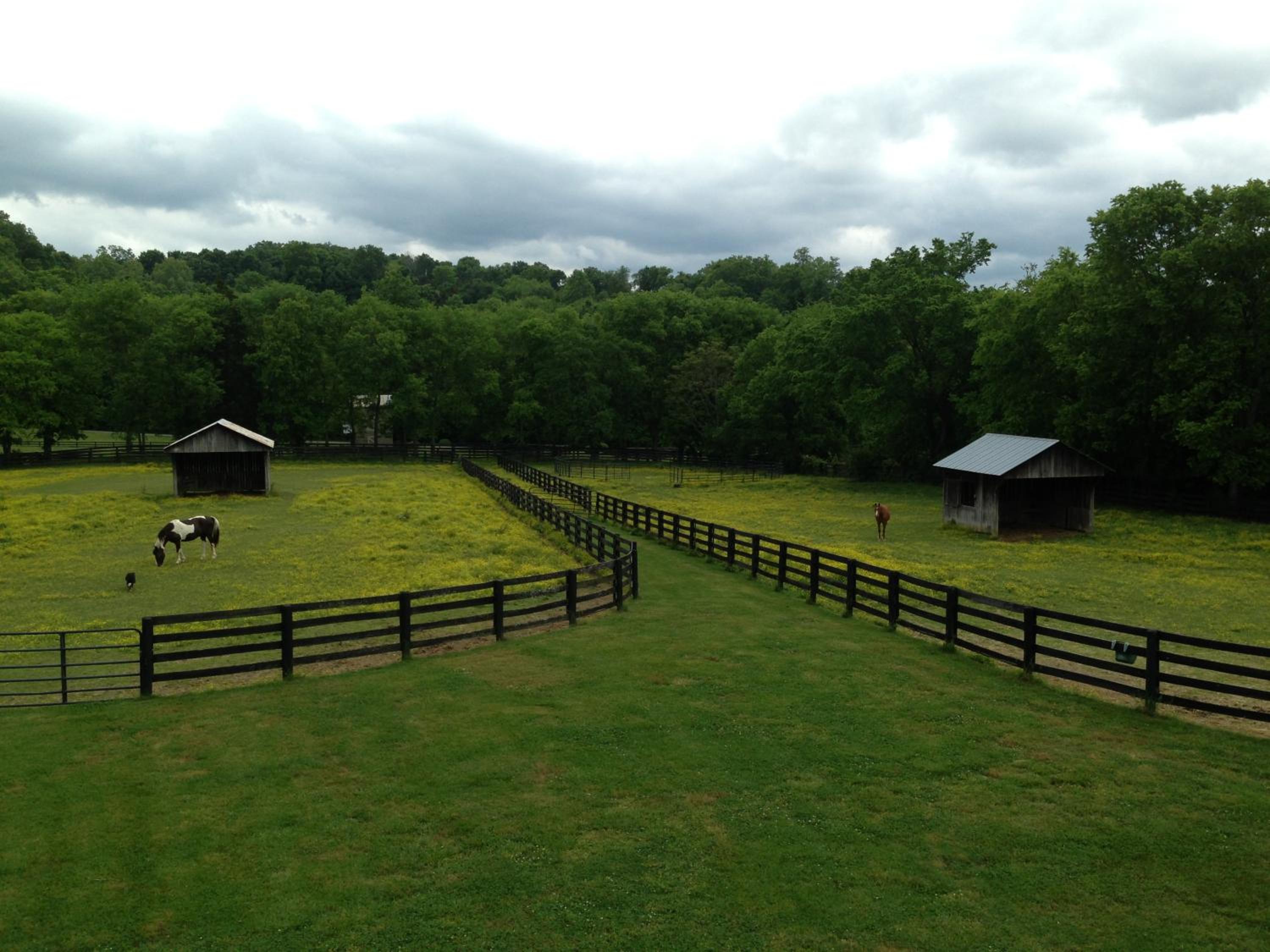 Full Circle Farm Inn view 4