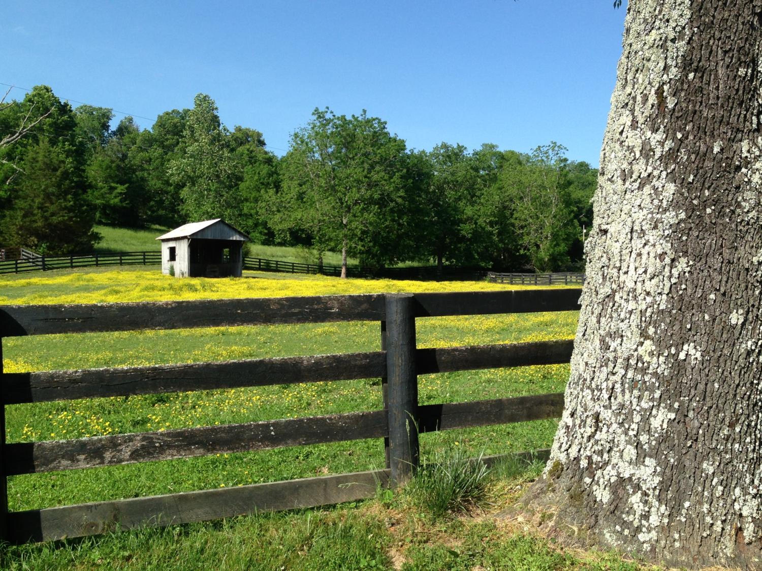 Full Circle Farm Inn view 5