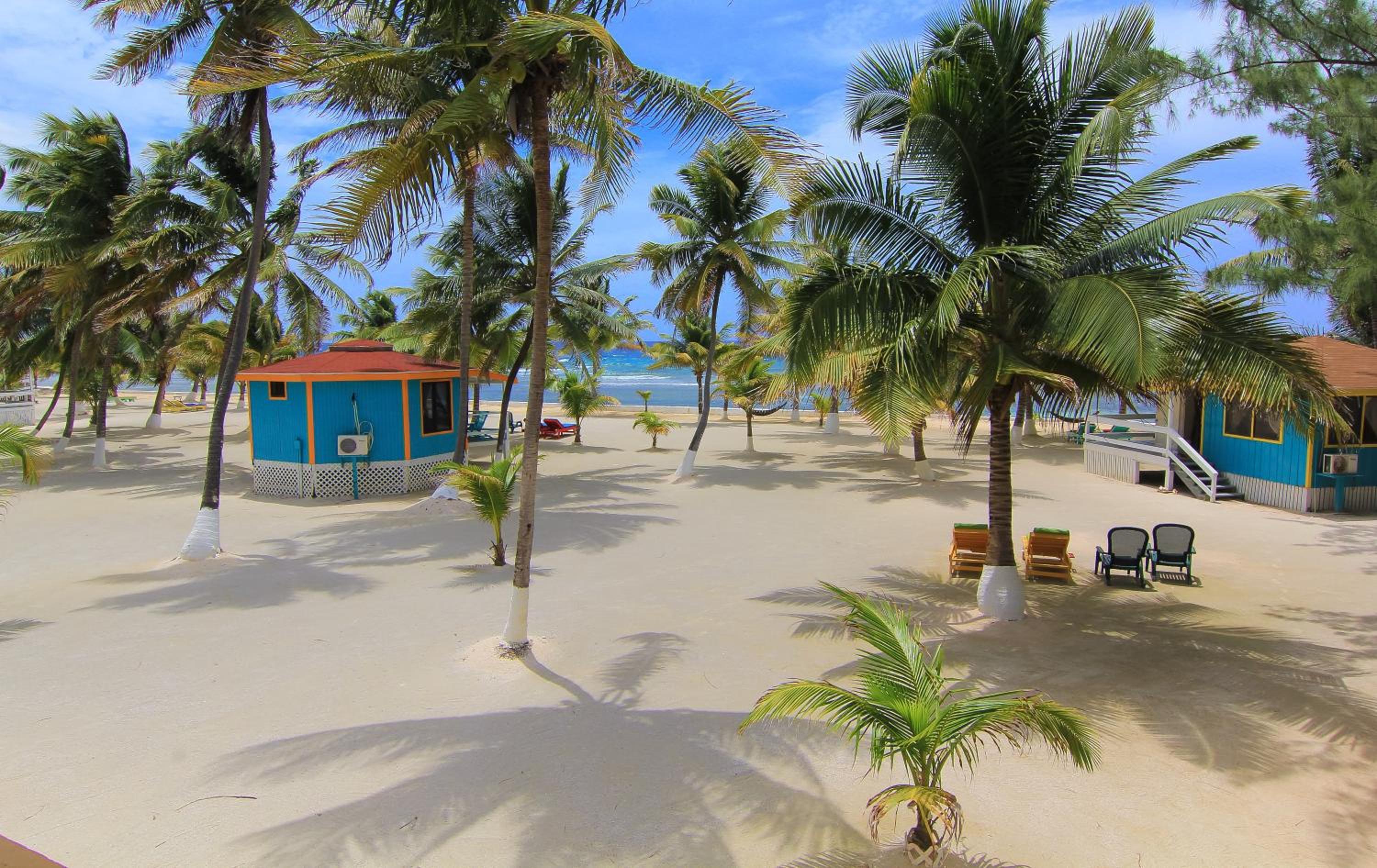 Blue Marlin Beach Resort view 5