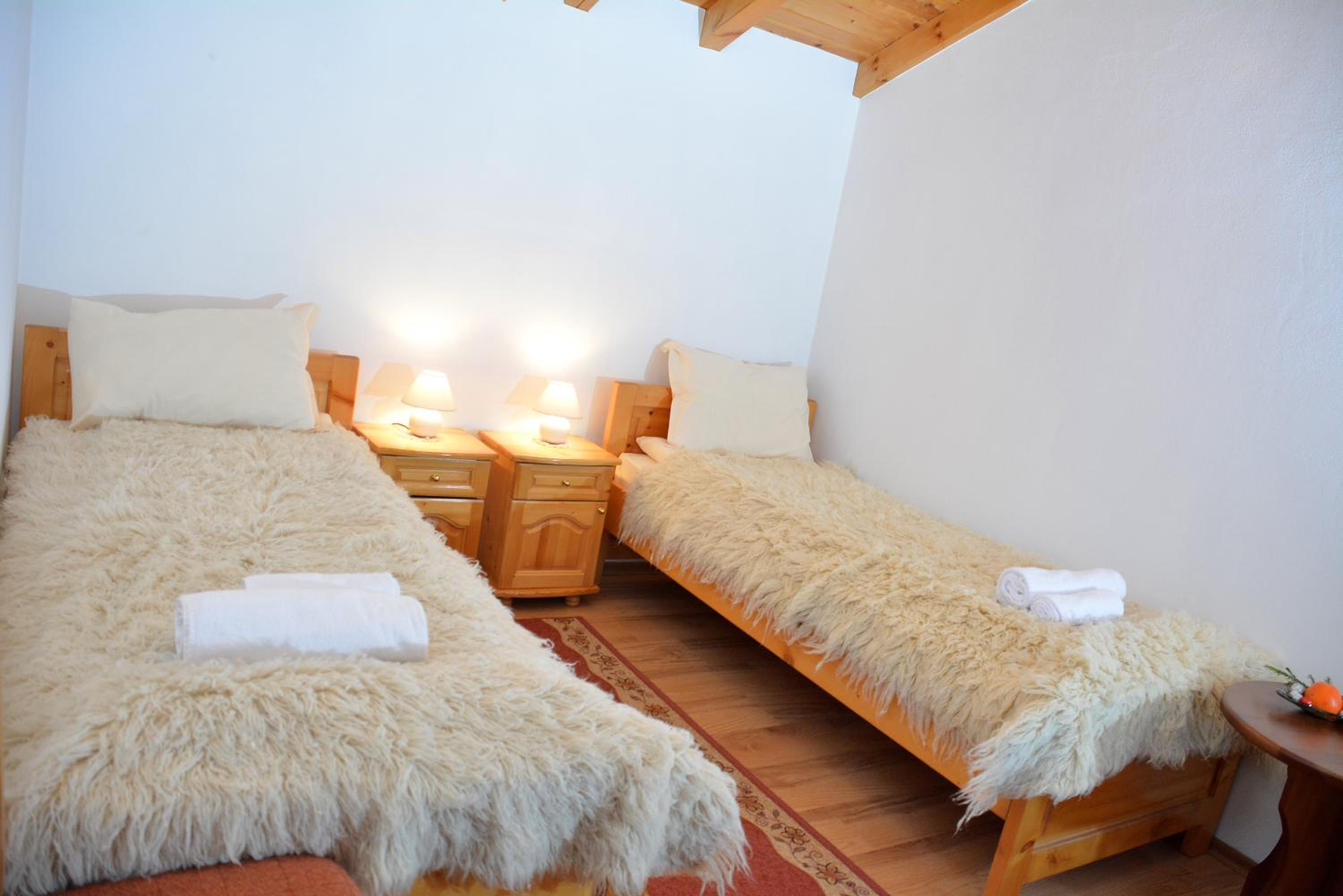 Bansko Vacations - Trenchova Guest House - Property Image 8